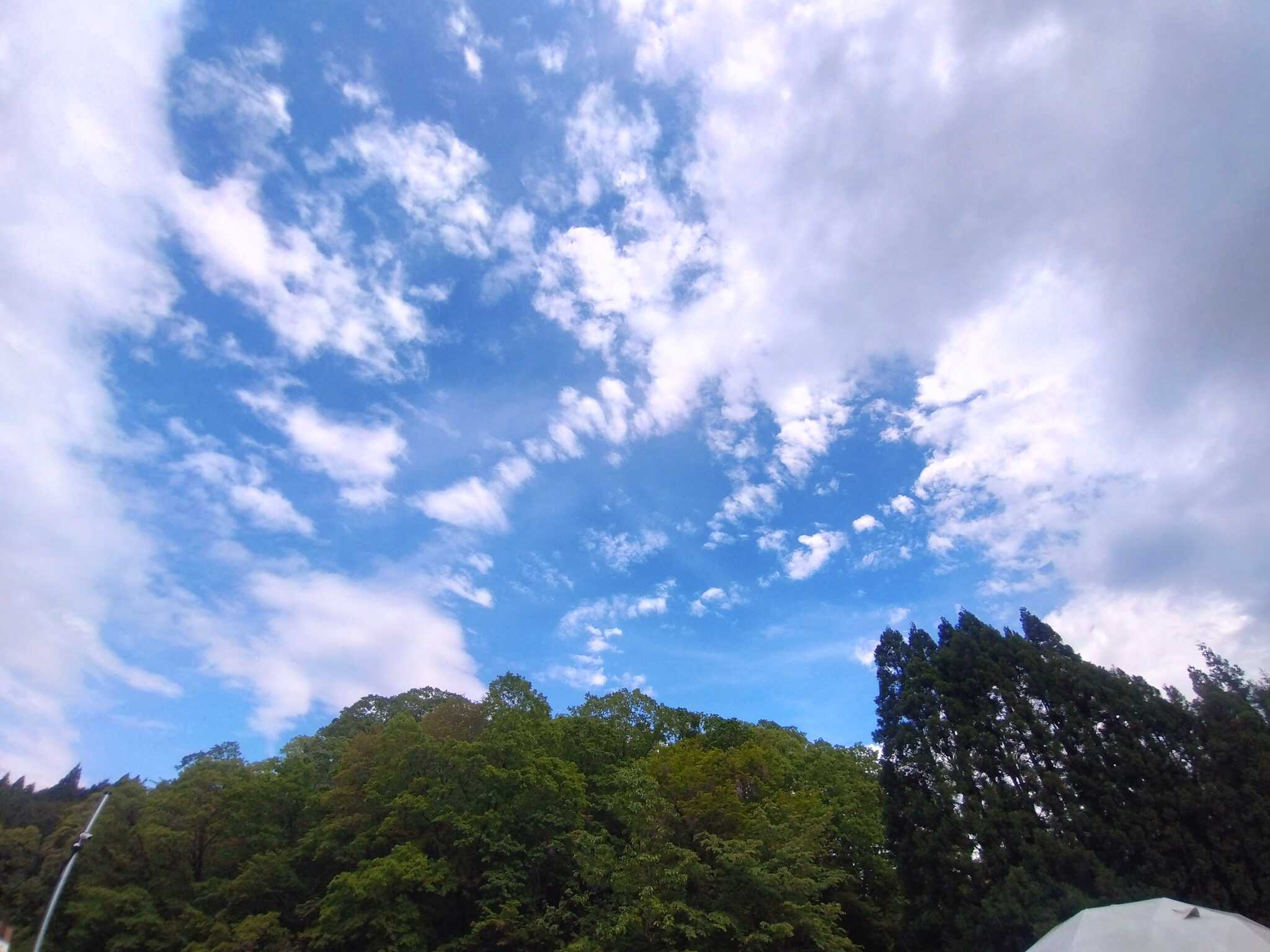 サイトからの空