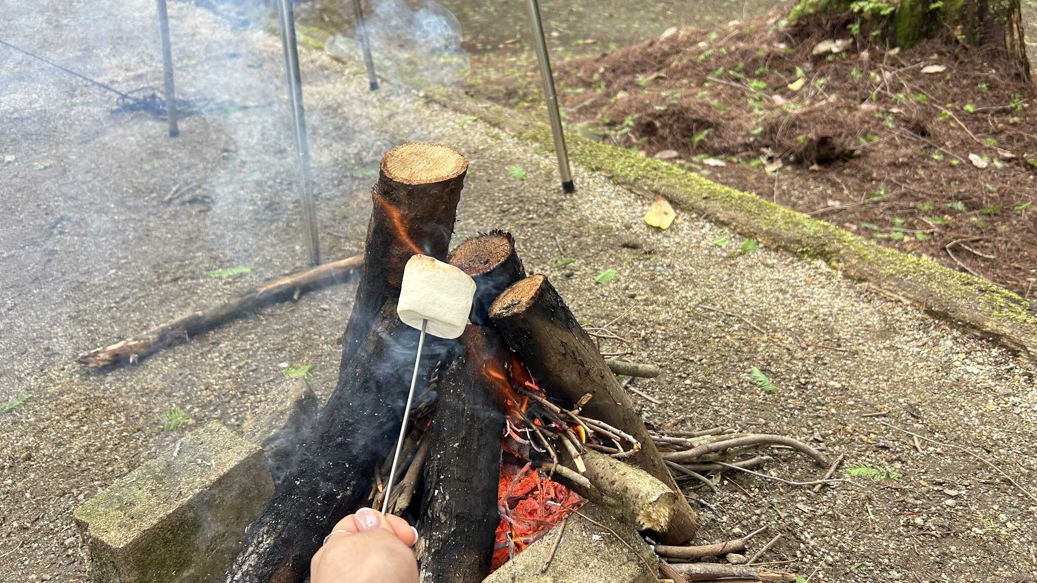 BBQ
