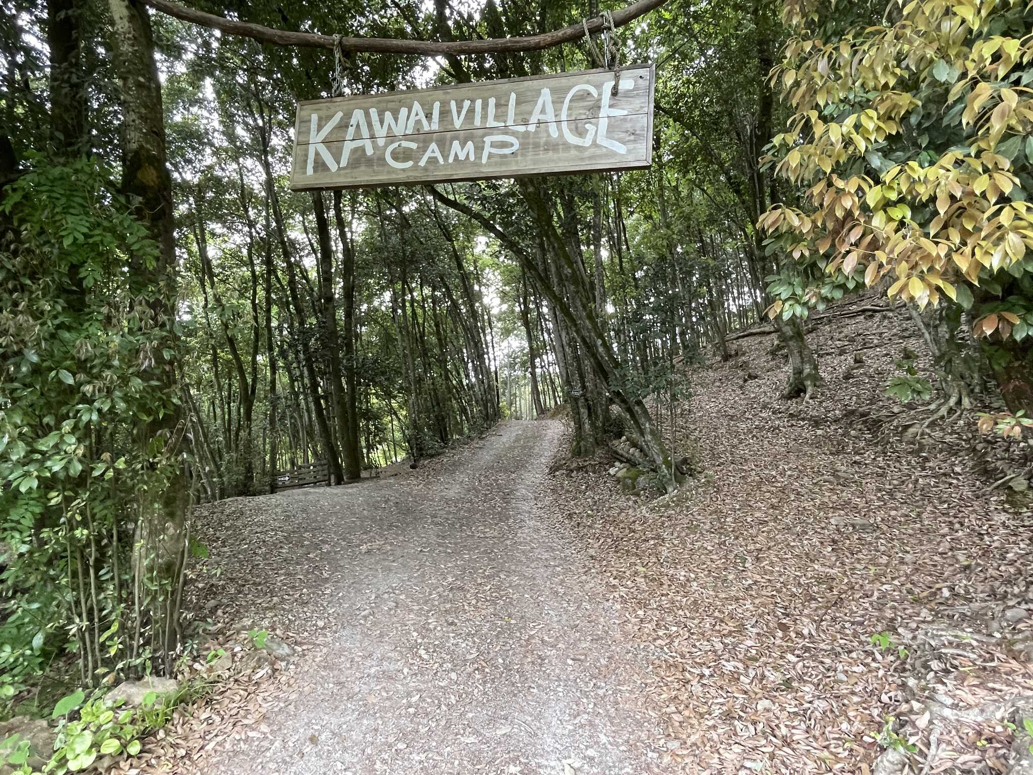 看板と林間エリア