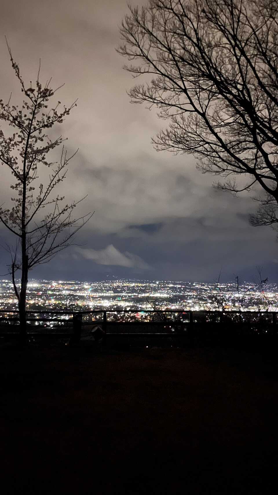 圧倒的夜景カメラ上手くなりたい