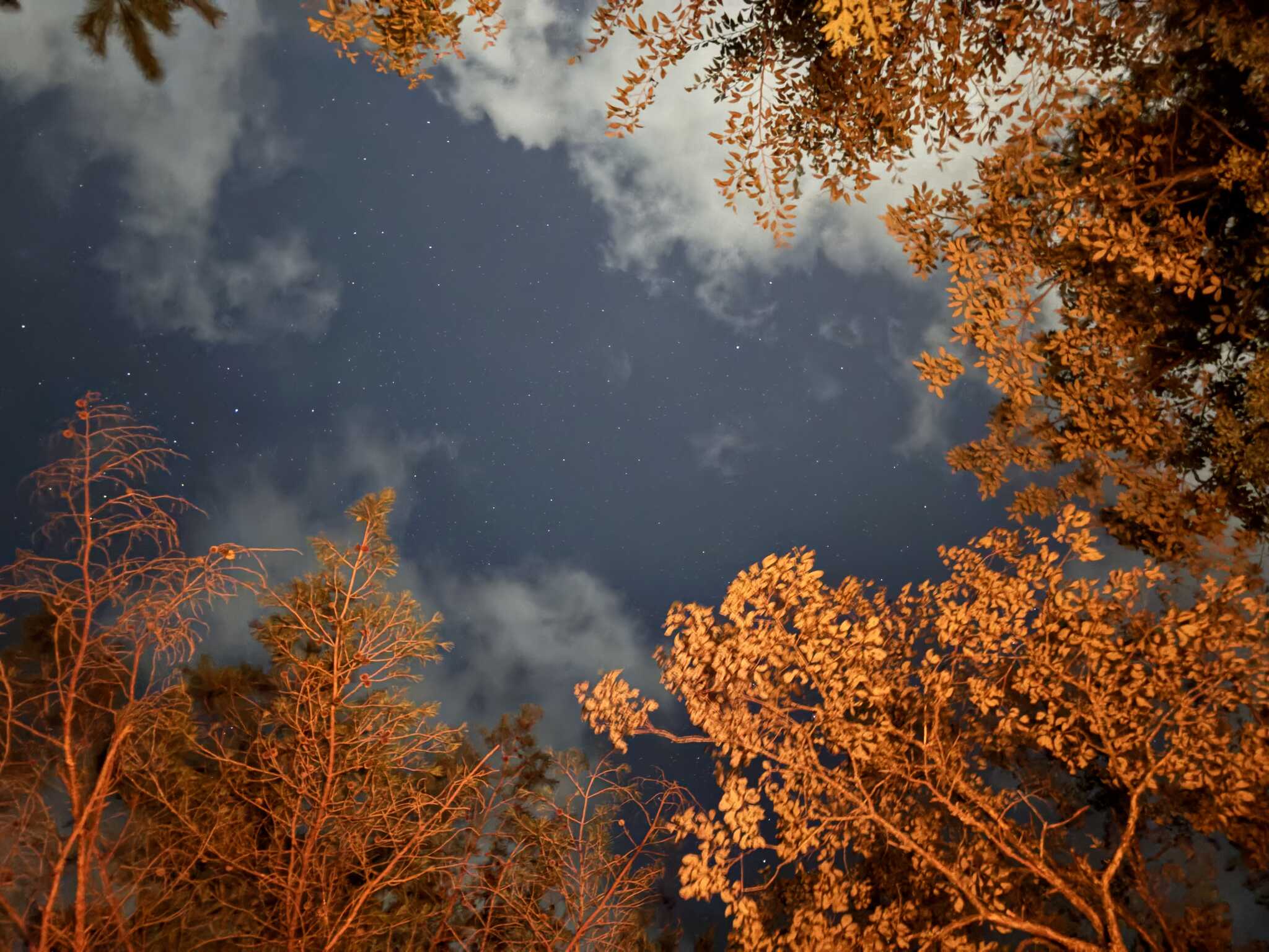 サイトから見上げた夜空