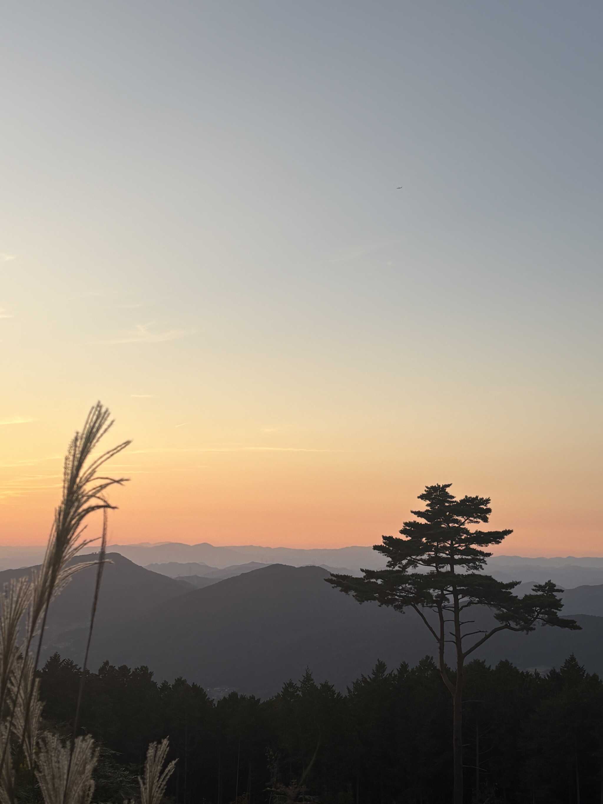 夕焼けが綺麗