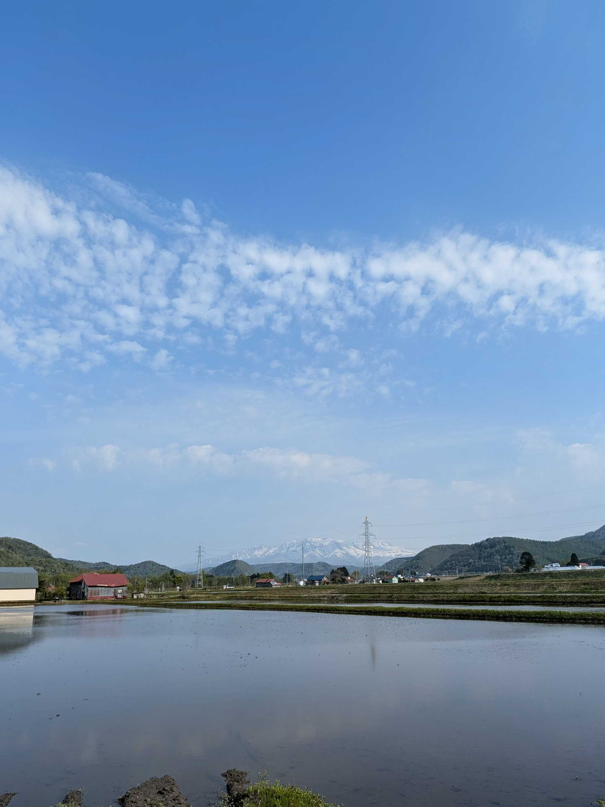 大雪山連峰と田園風景
