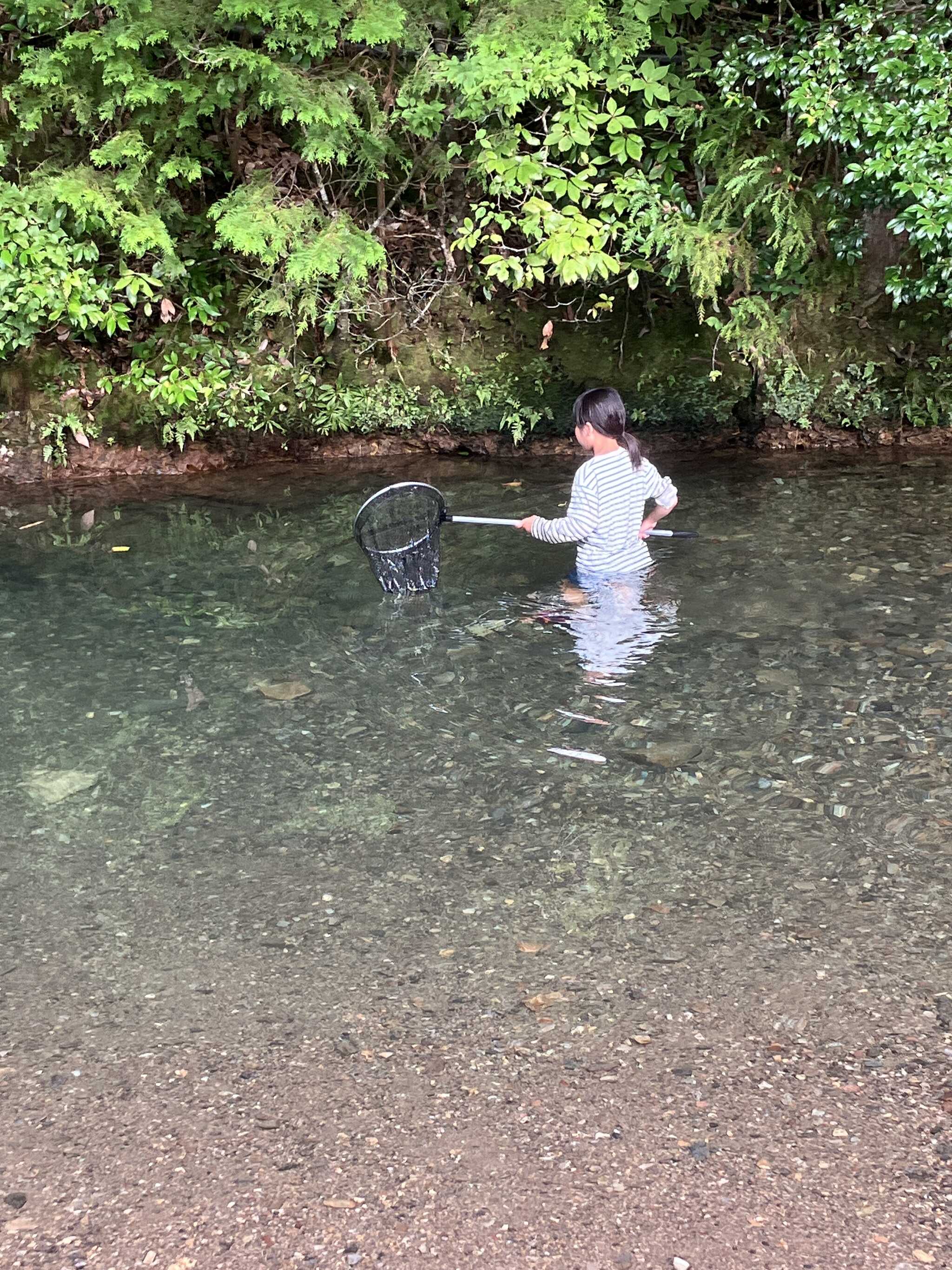 魚つかみ