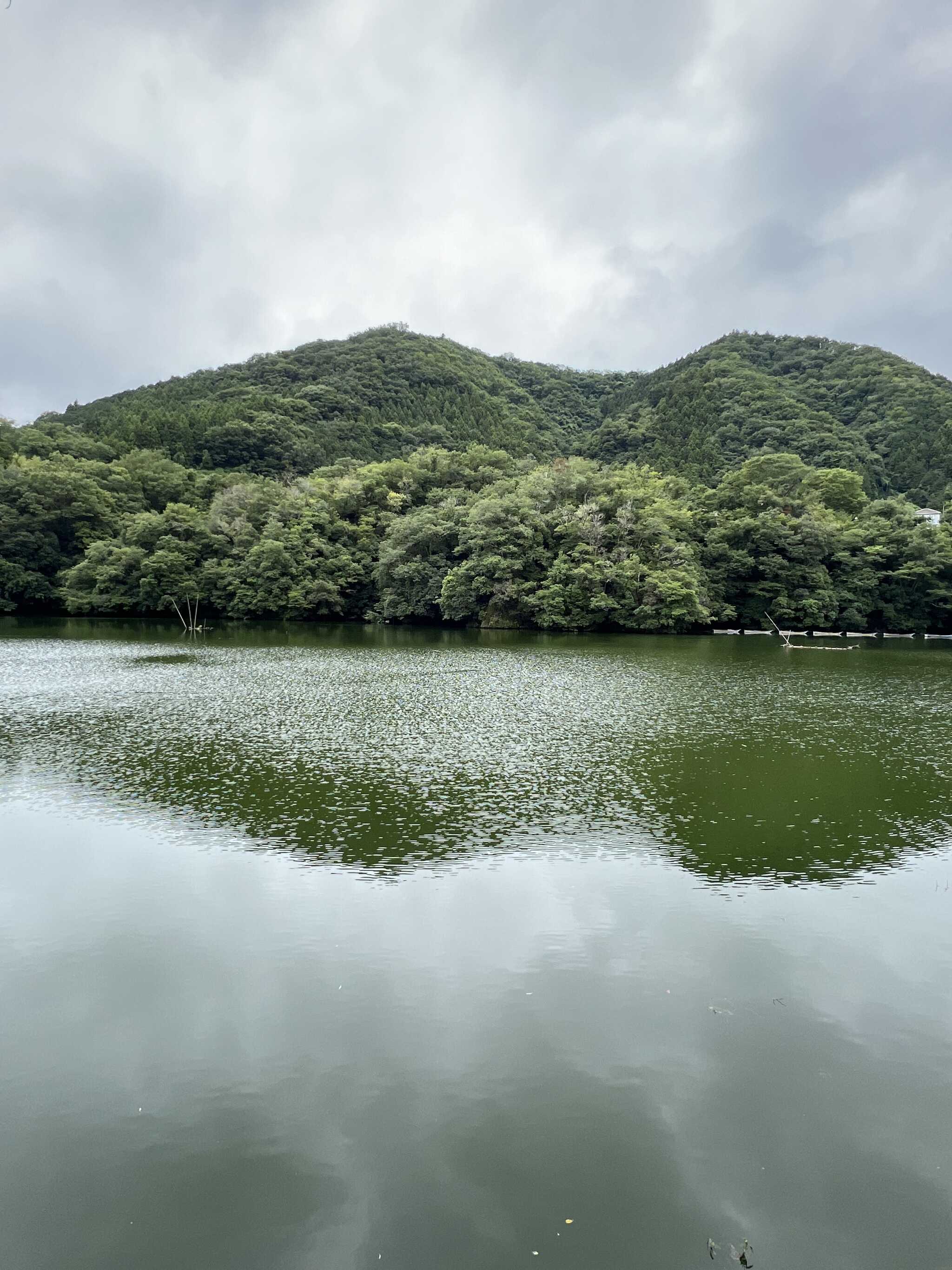 4番サイトからの景色