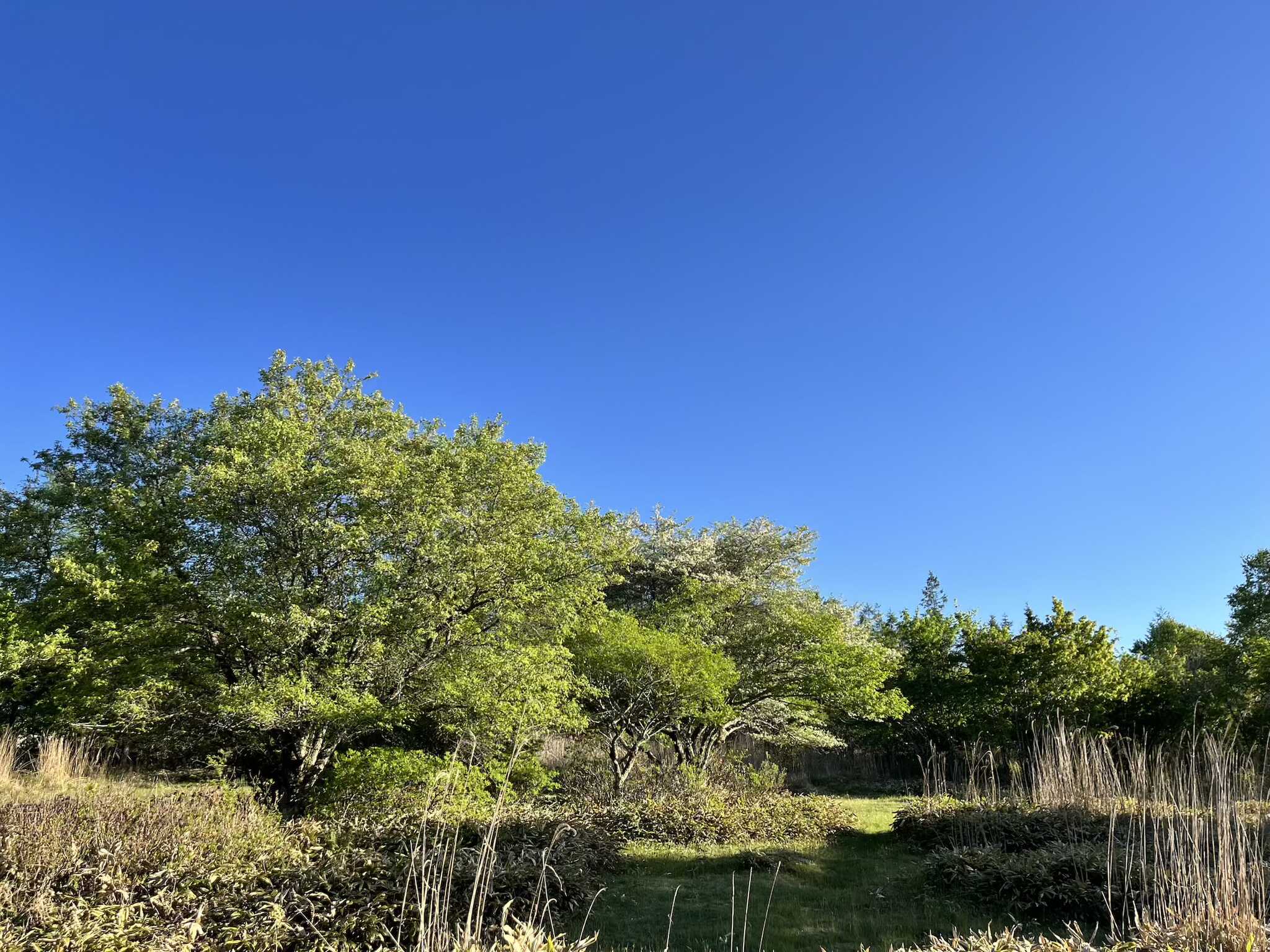 霧ケ峰キャンプ場の写真 2枚目