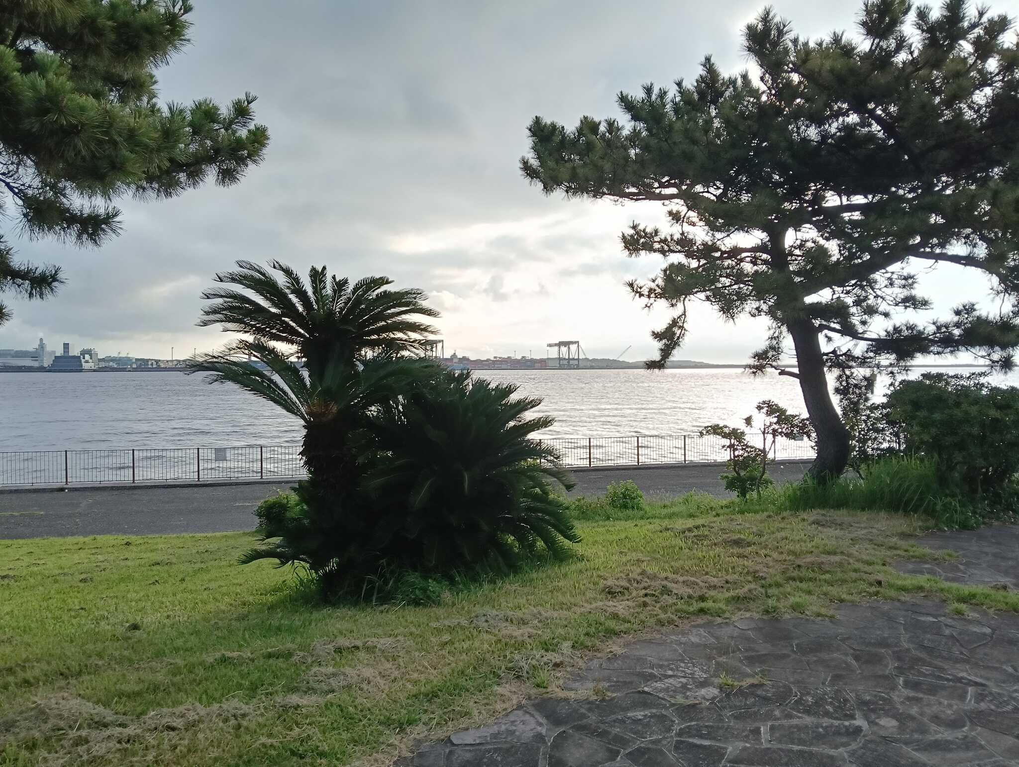 散歩景色