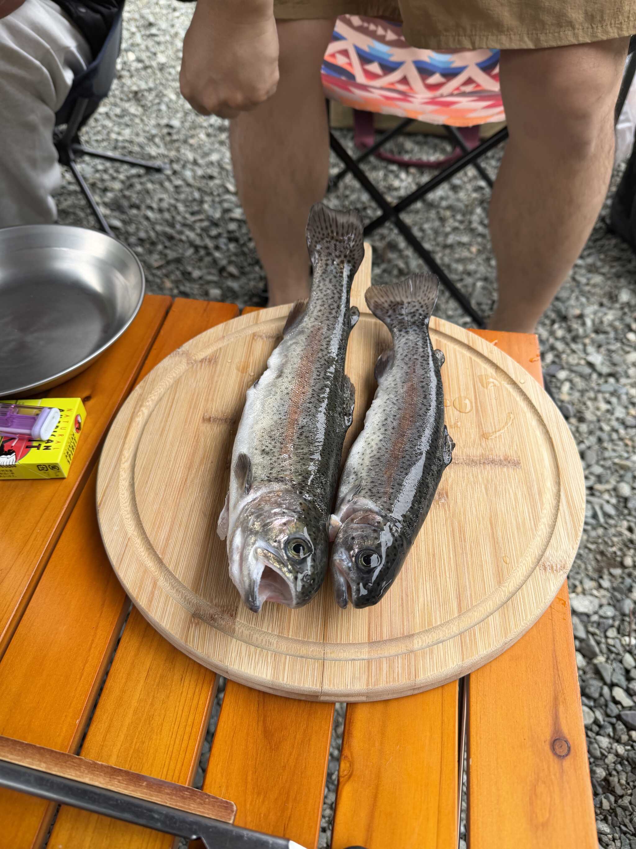 釣れたニジマス
