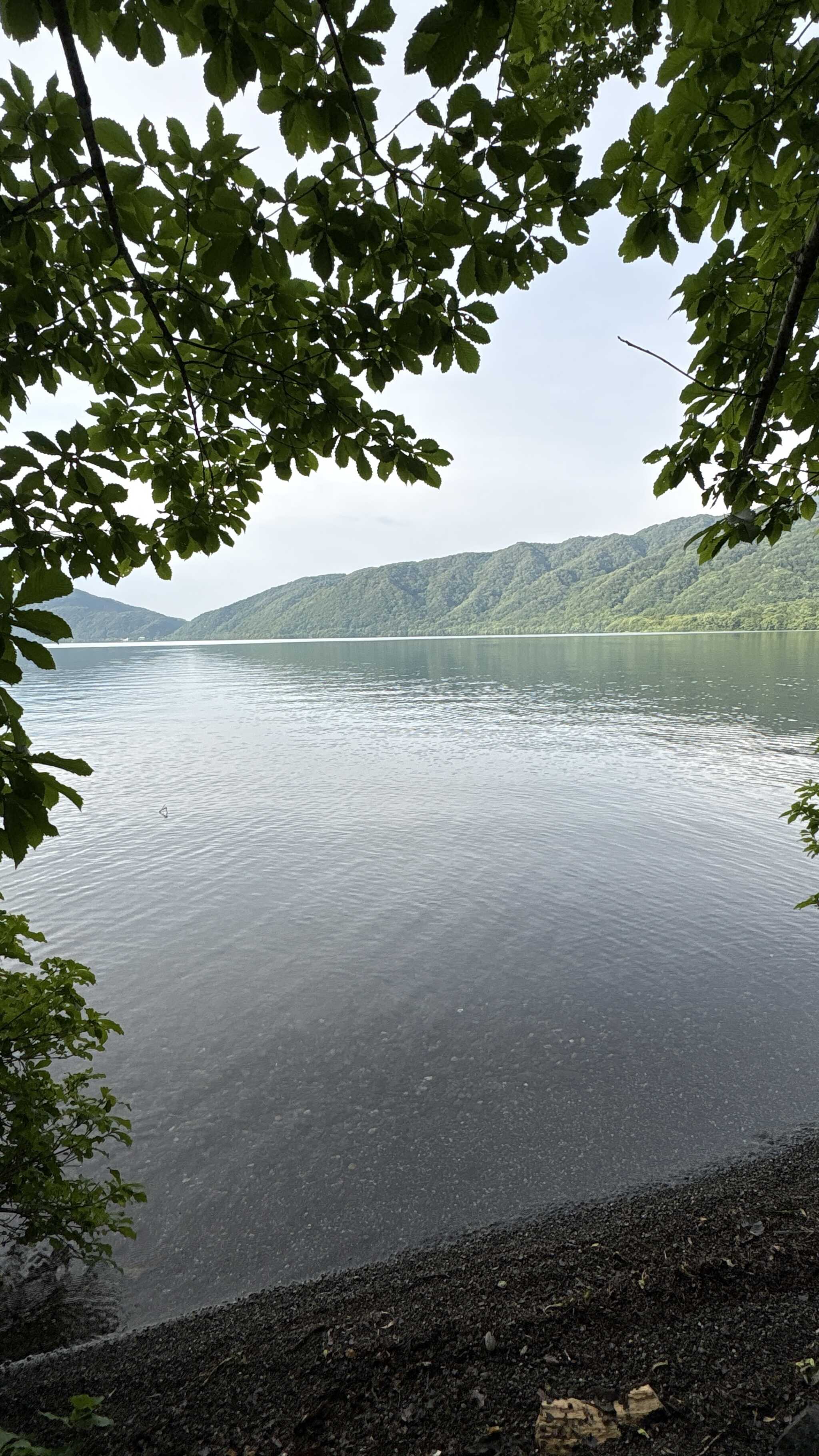 キャンプ場から見た十和田湖