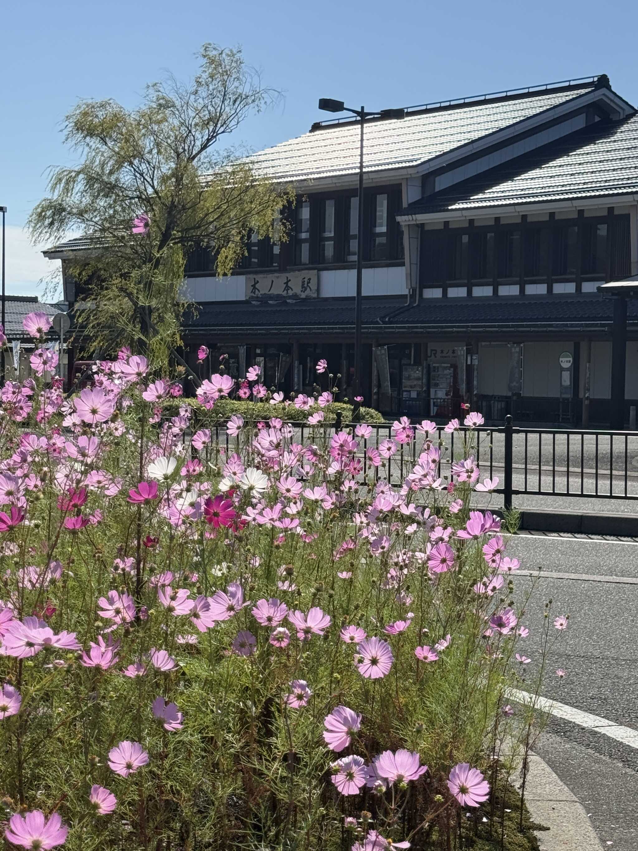 木ノ本駅