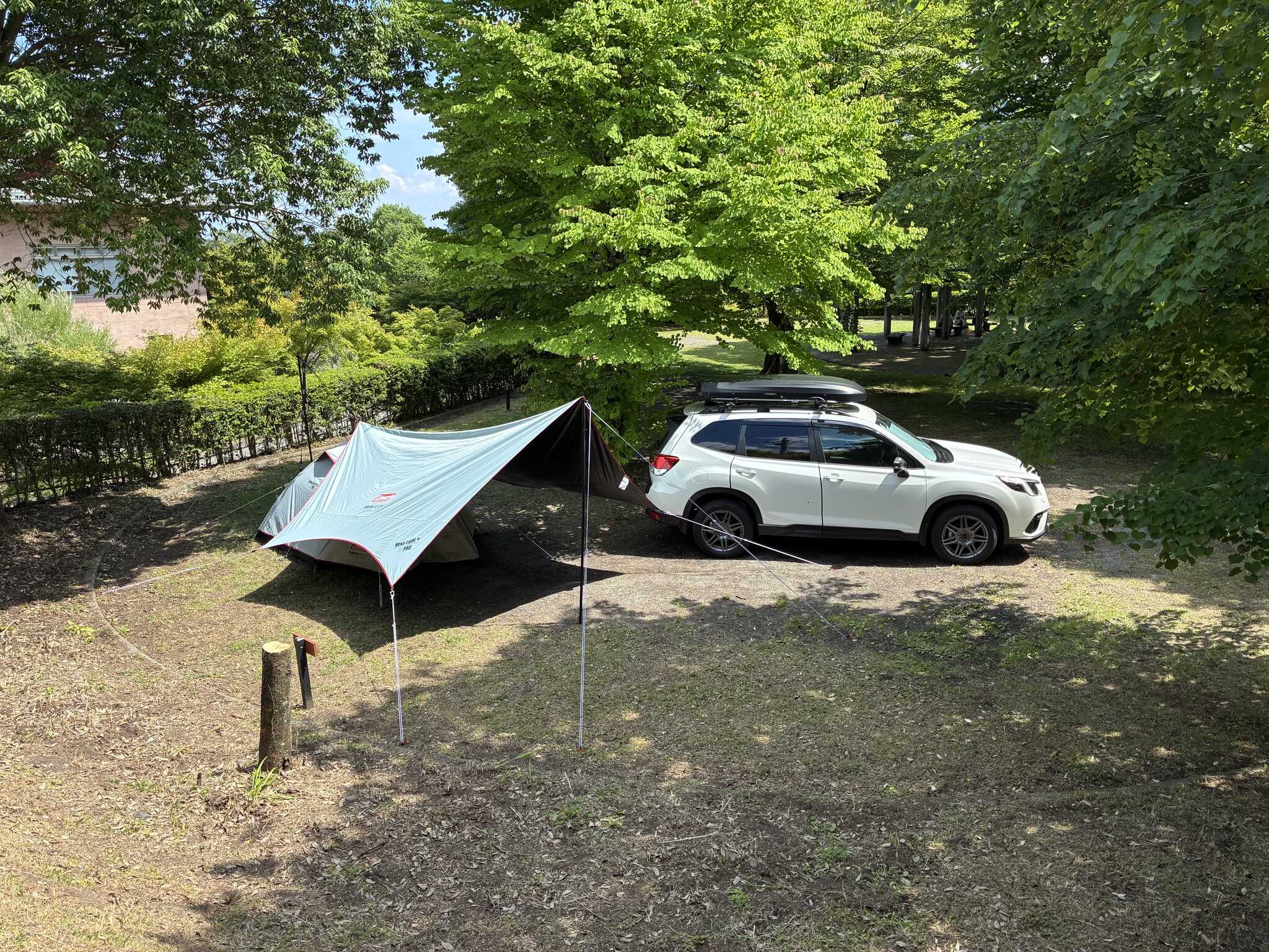 峠の湯建物(左)
