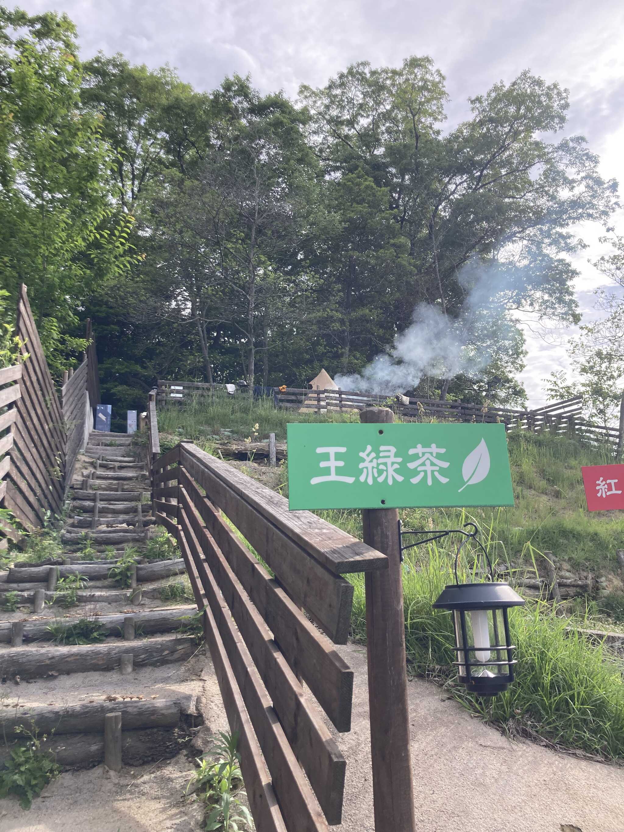 階段キツい笑