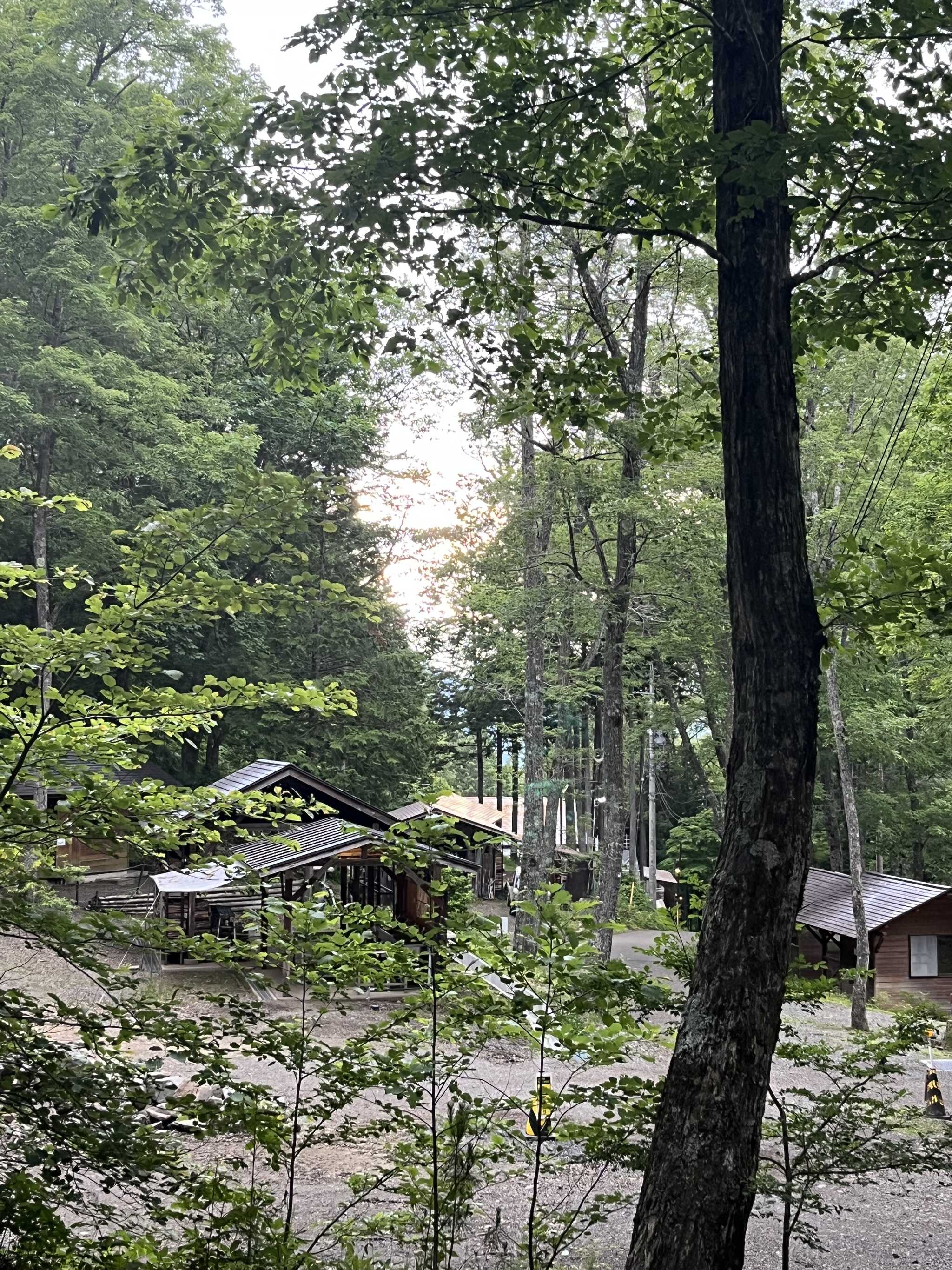 View from our site