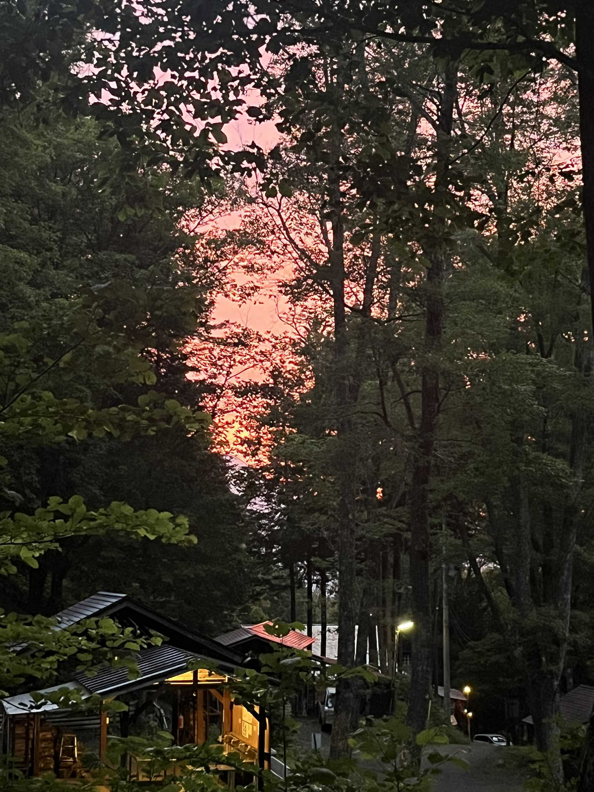 Sunset view