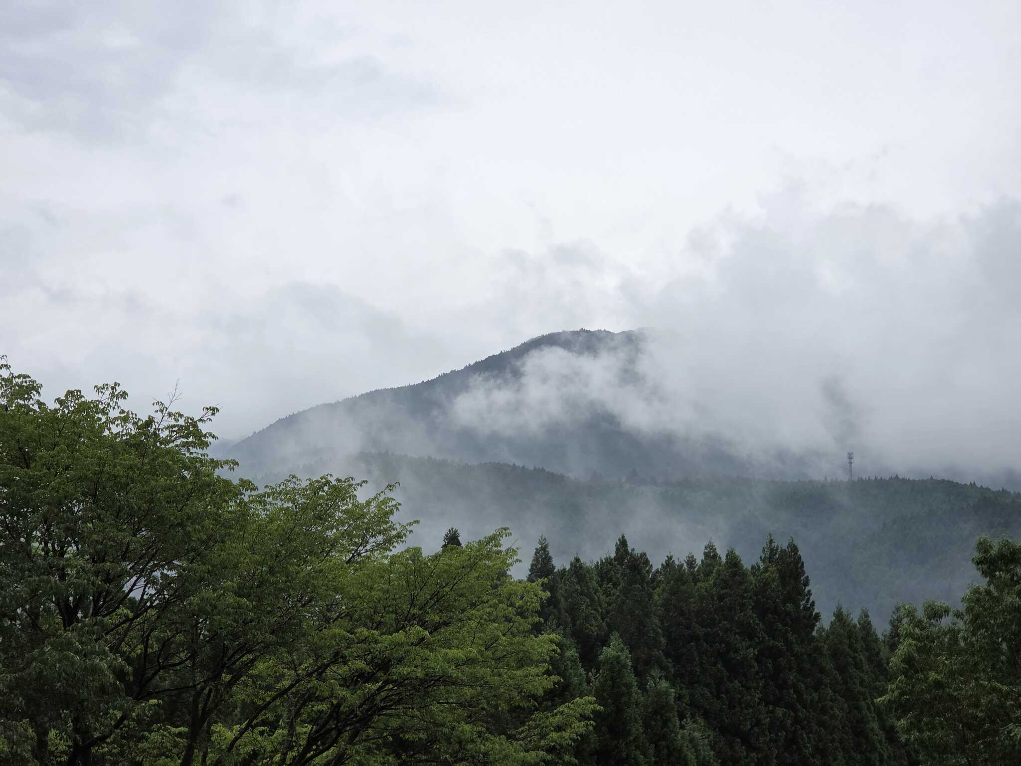 コテージのテラスから見た景色