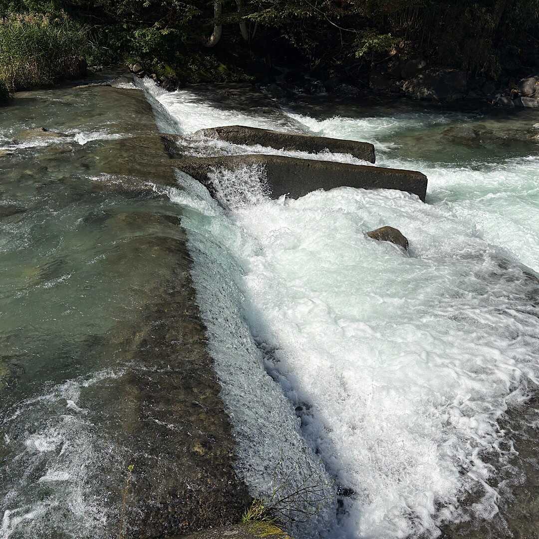 道志川水量多め?