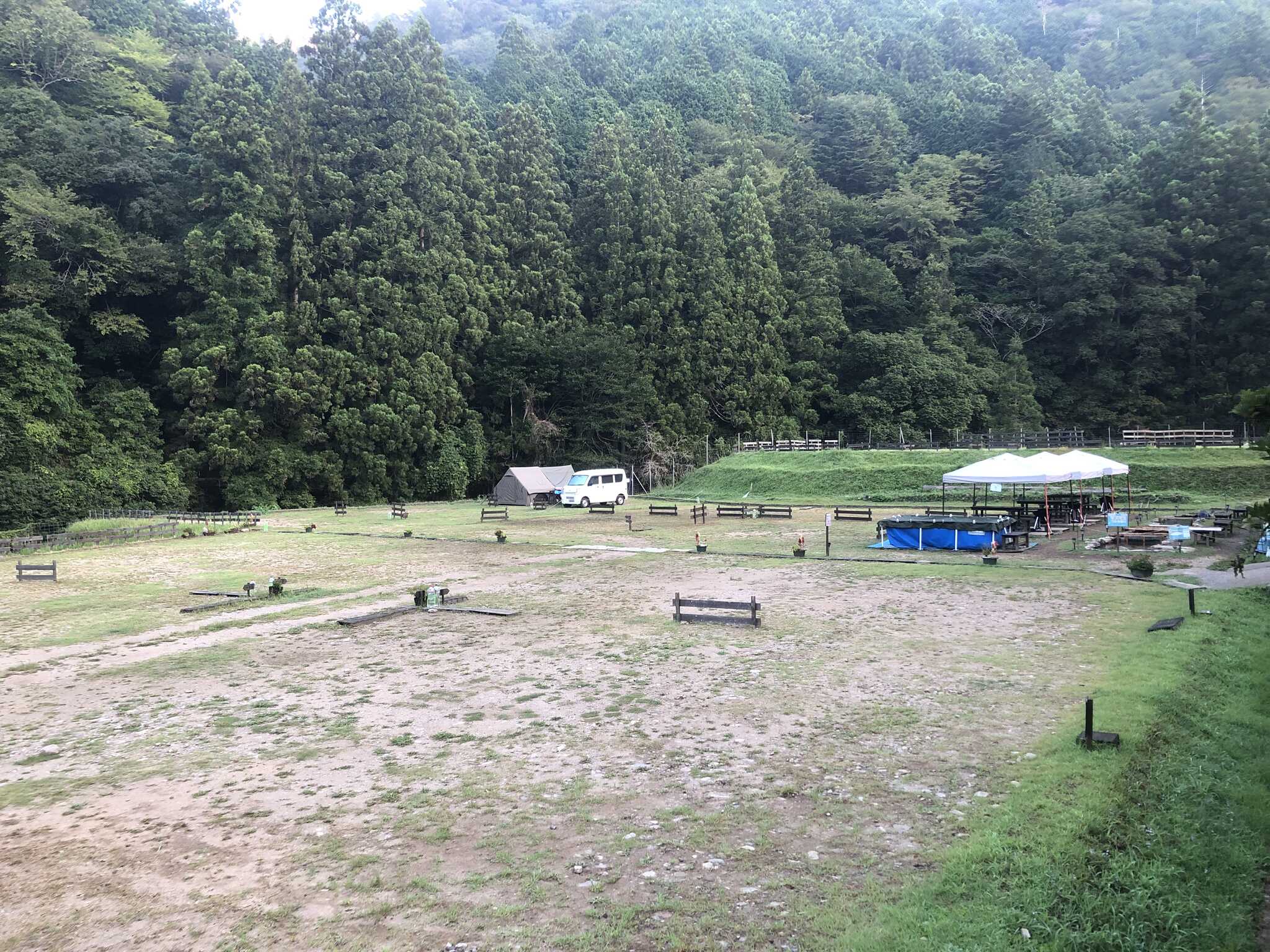 朝六時セミと何かの鳴き声がする、猿には会えず