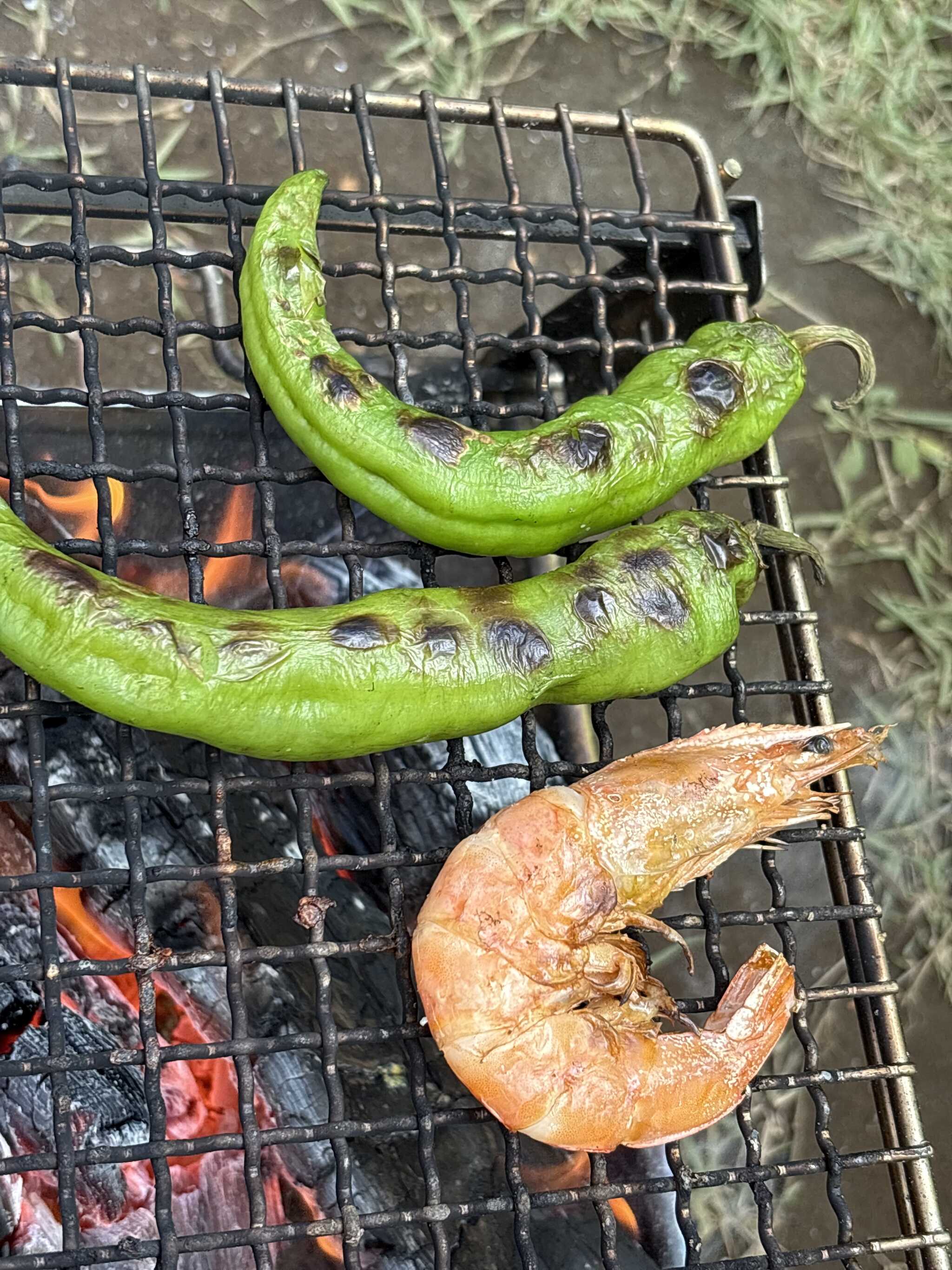 炭火焼き