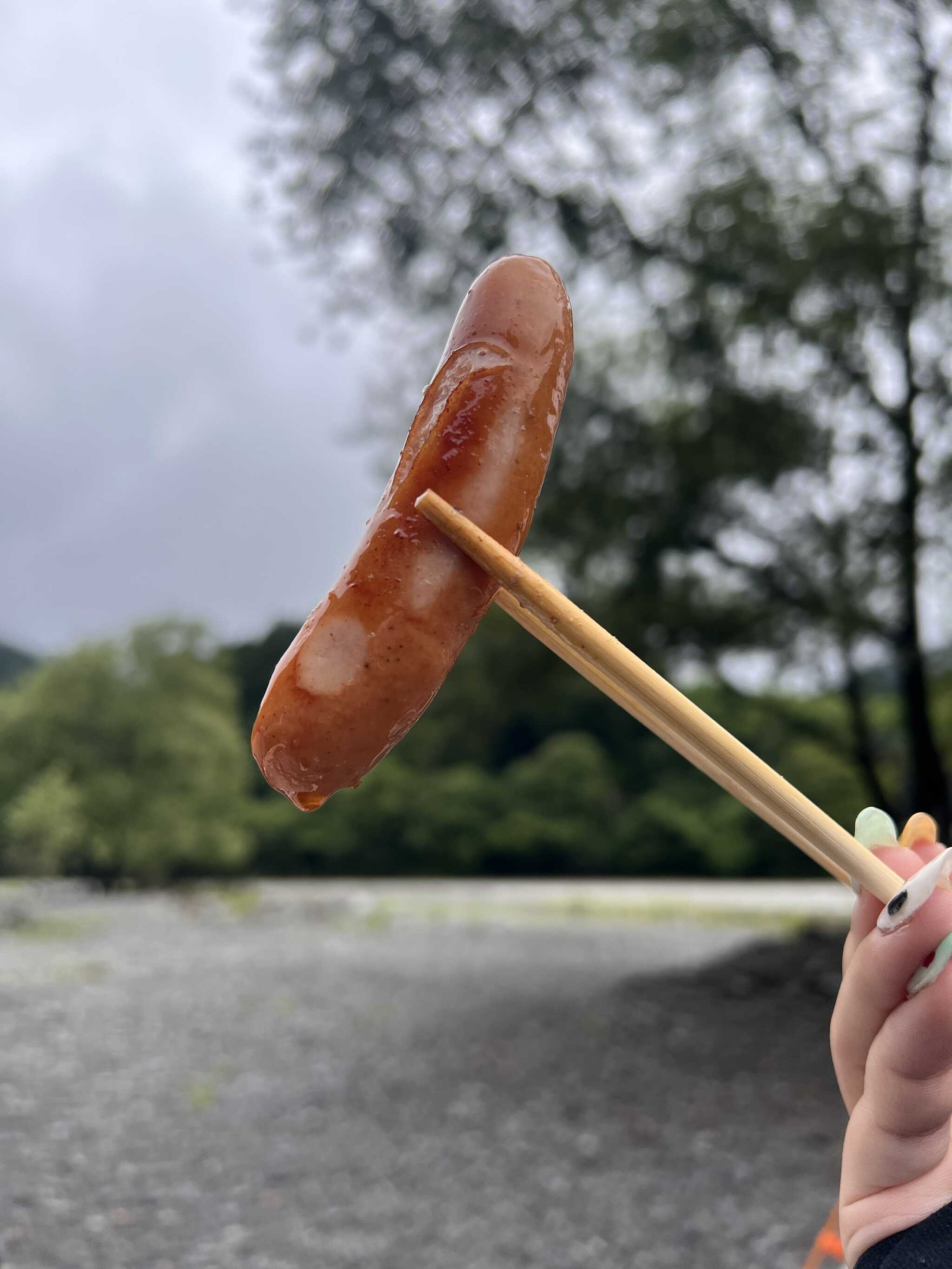 自然の中でご飯!