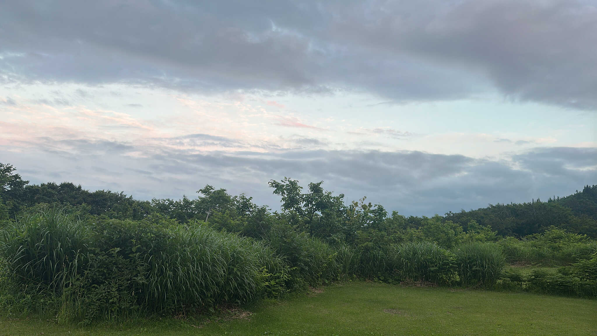 サイトからの風景