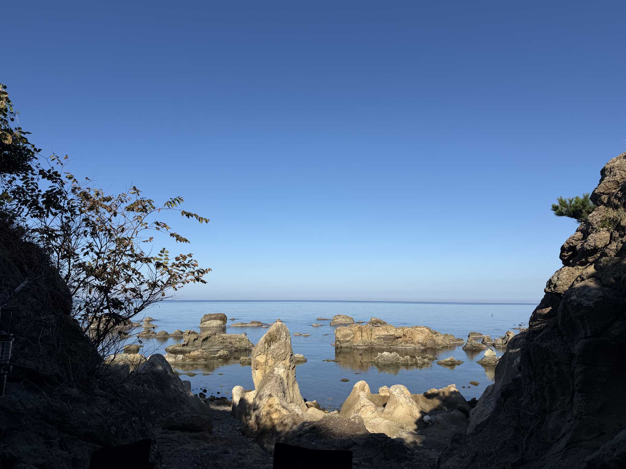 海