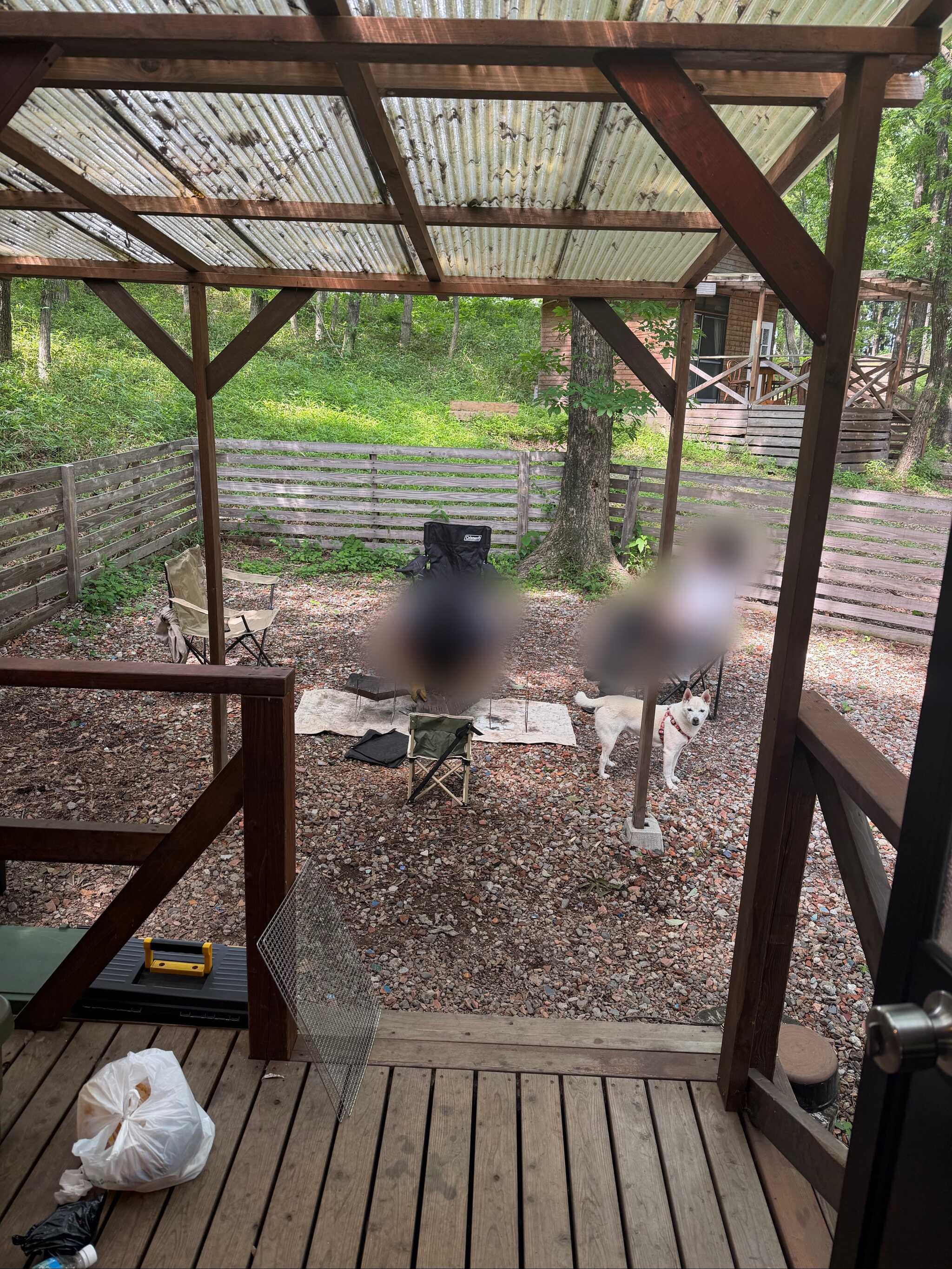 コテージ入口からの写真