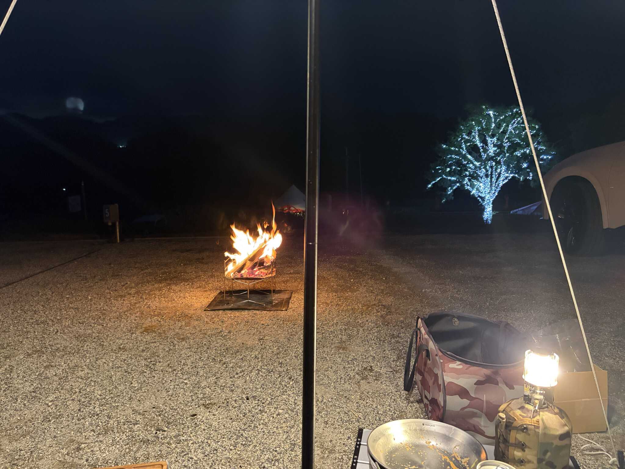 焚き火と電飾の木