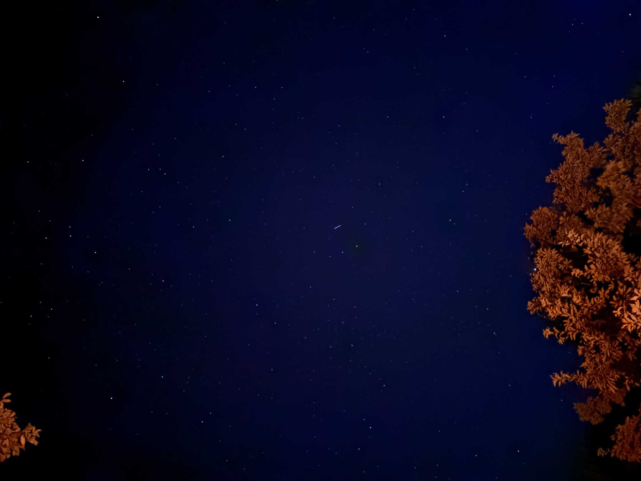 星空はとっても綺麗