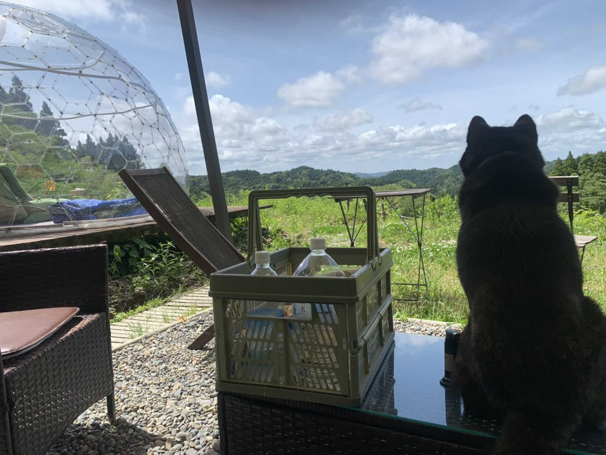 テントからの景色