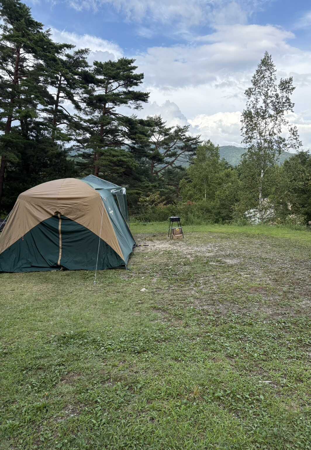 離れてみるとこんな感じでした。