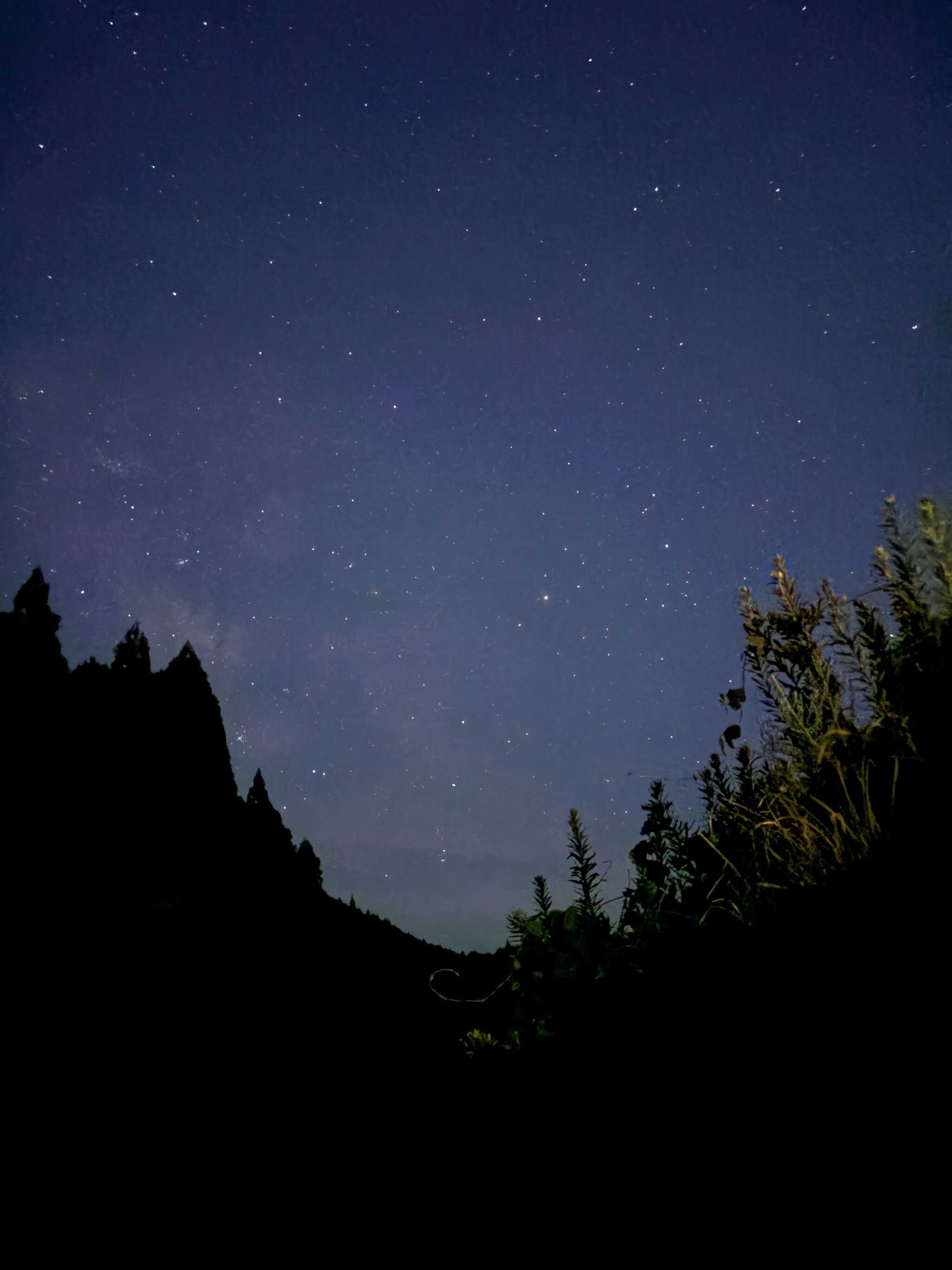 明かりが消えると夜空には沢山の星