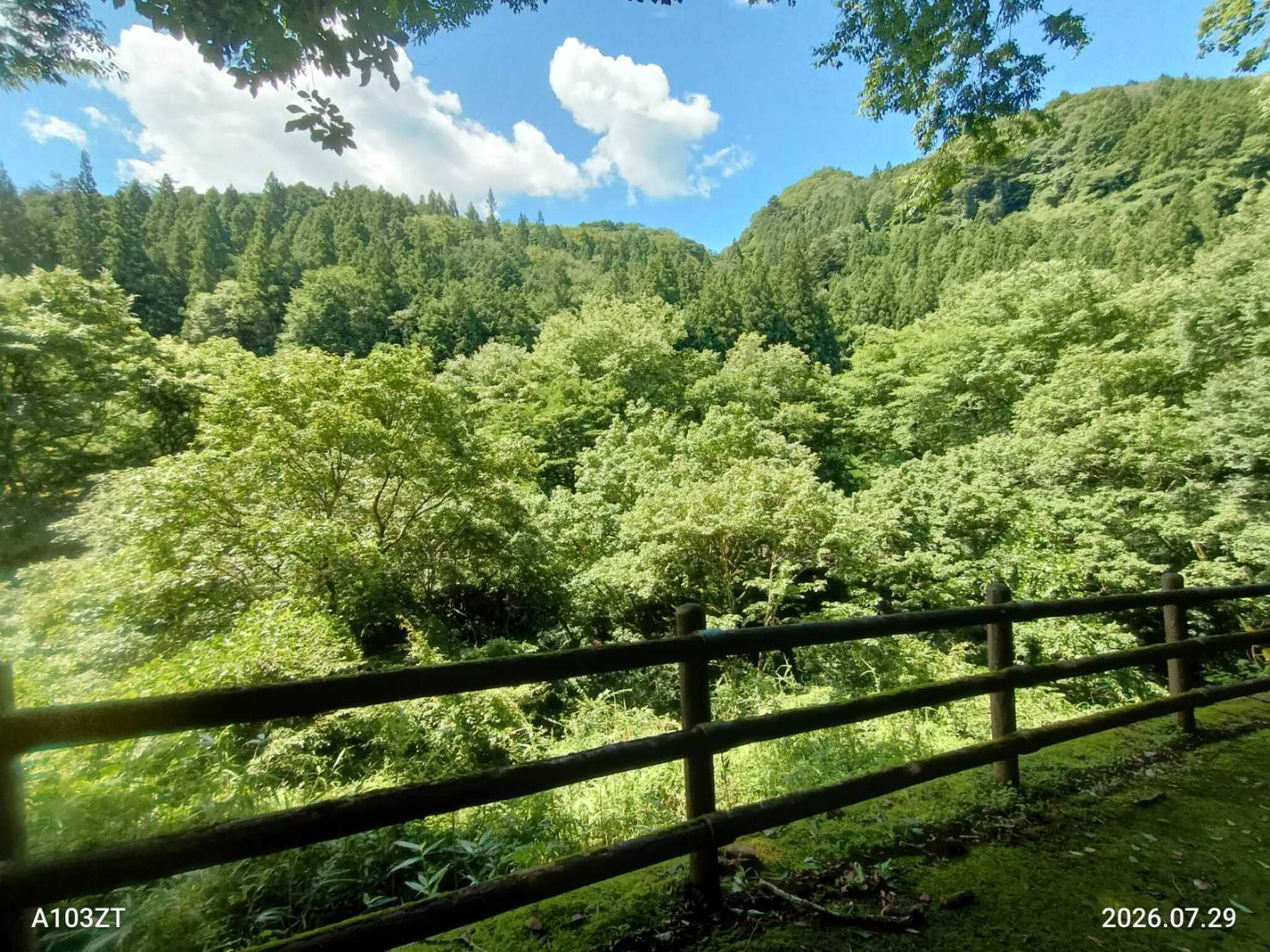 景色に癒されます