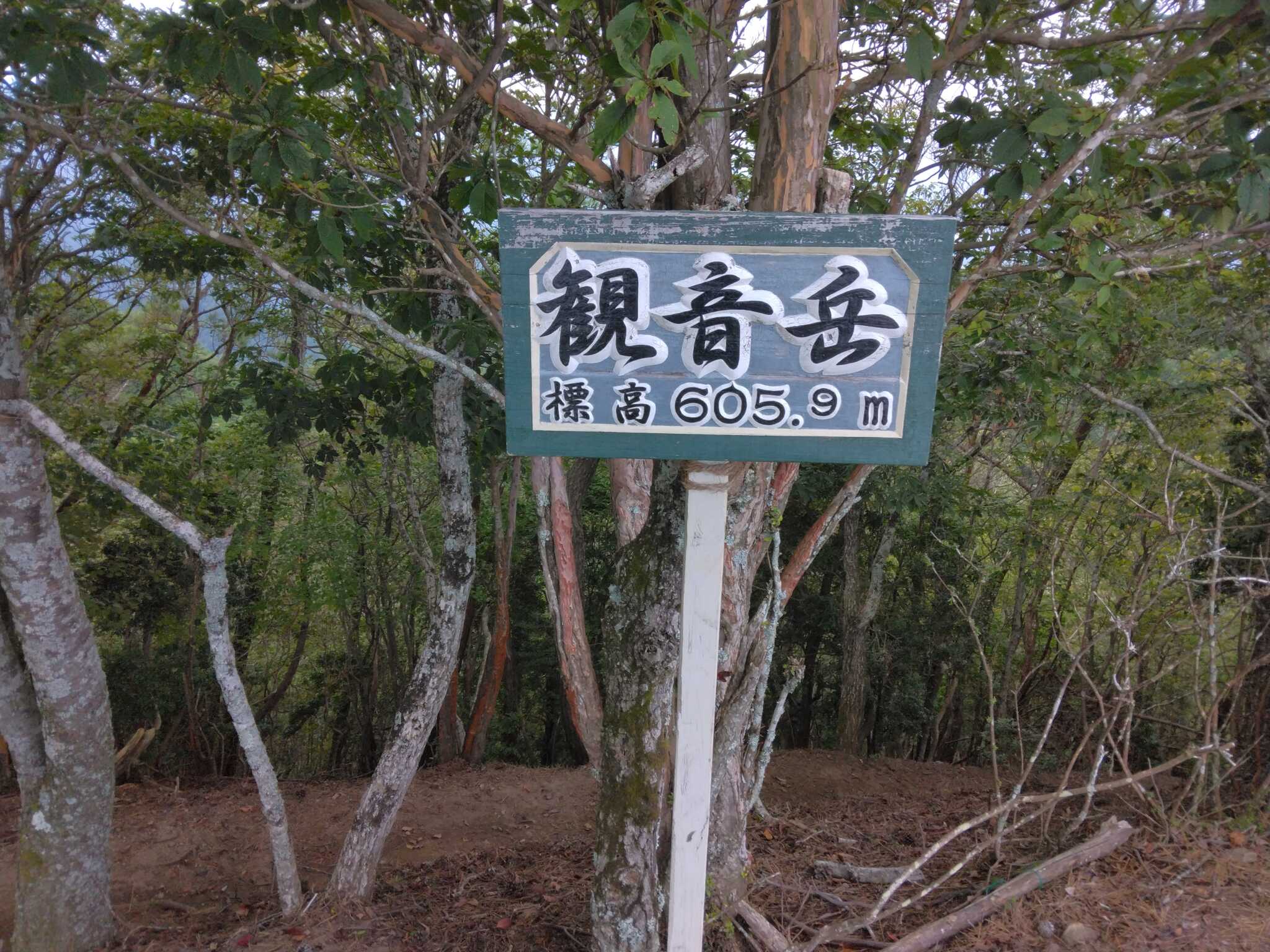 観音岳山頂