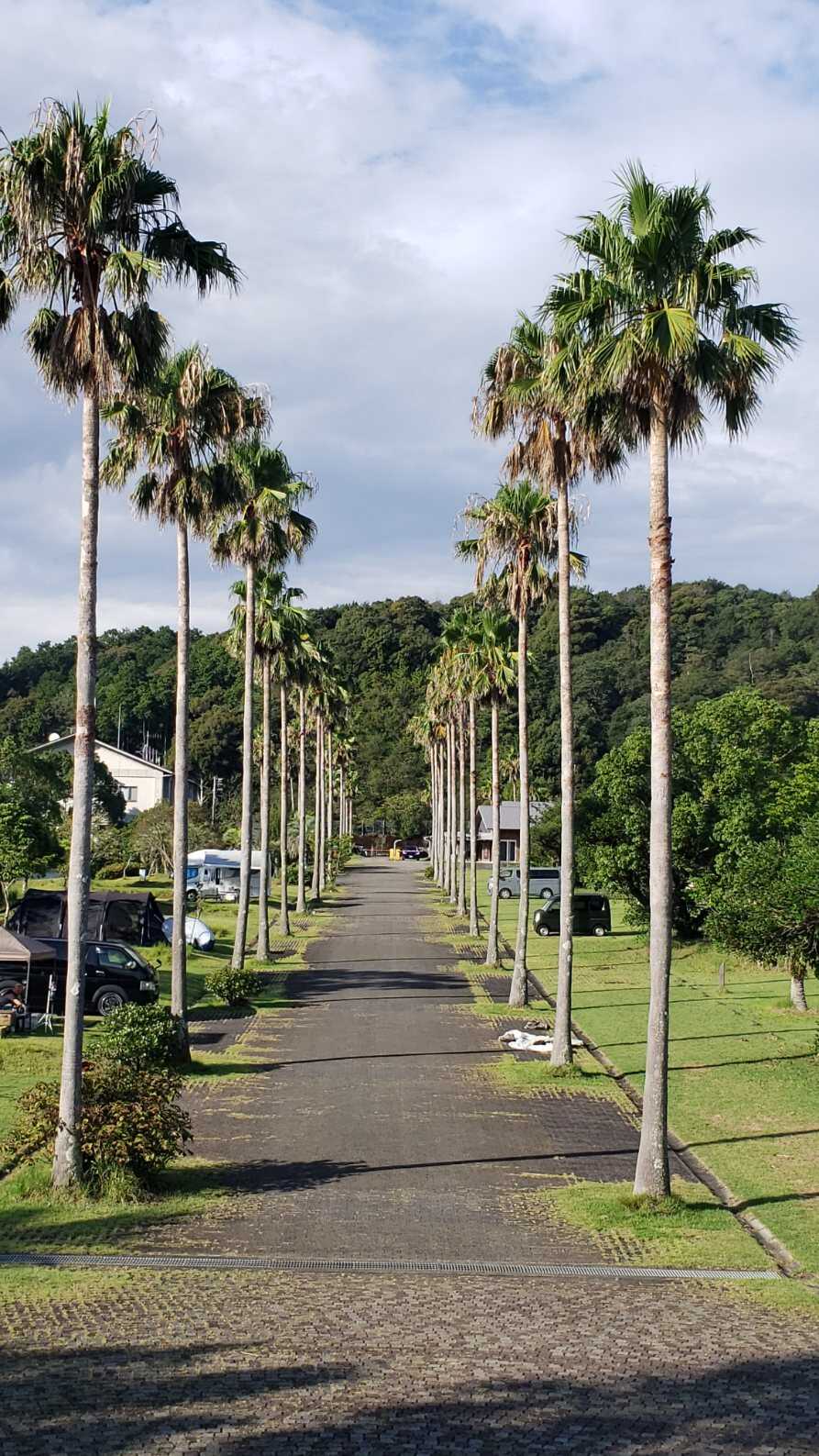 キャンプ場奥からのメイン道路