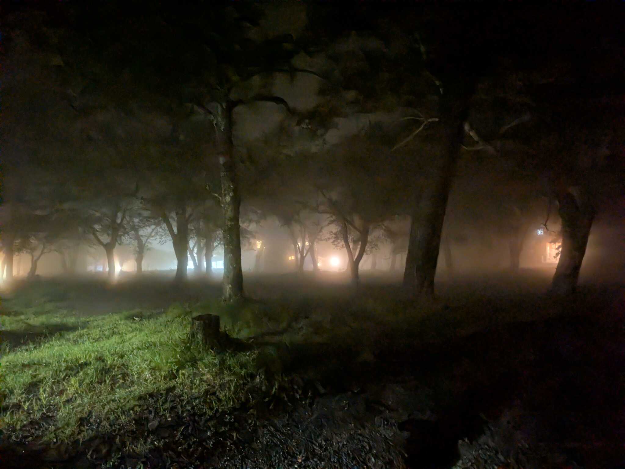 夜の場内 見える明かりはバンガロー