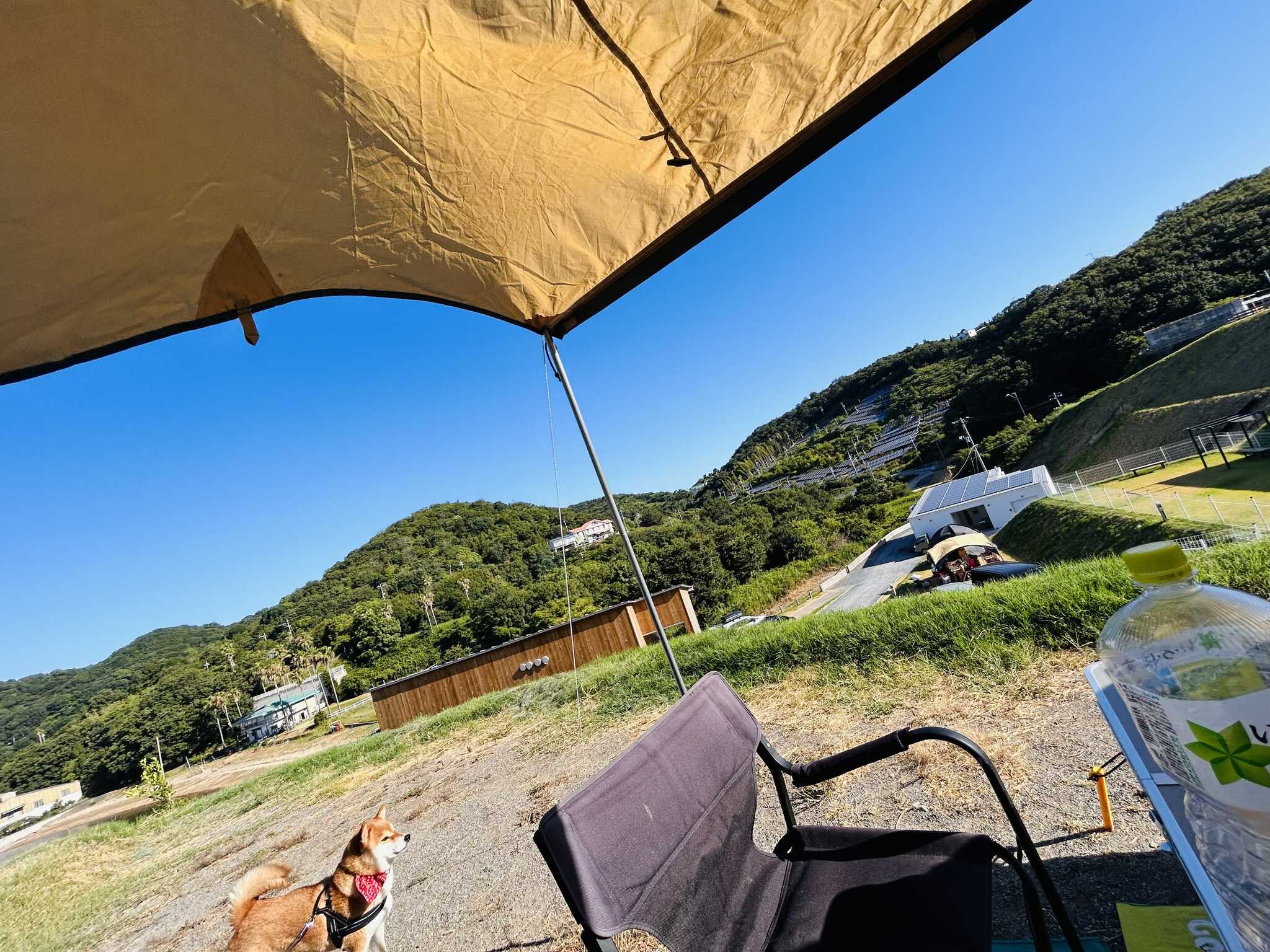 海も山も見えて最高
