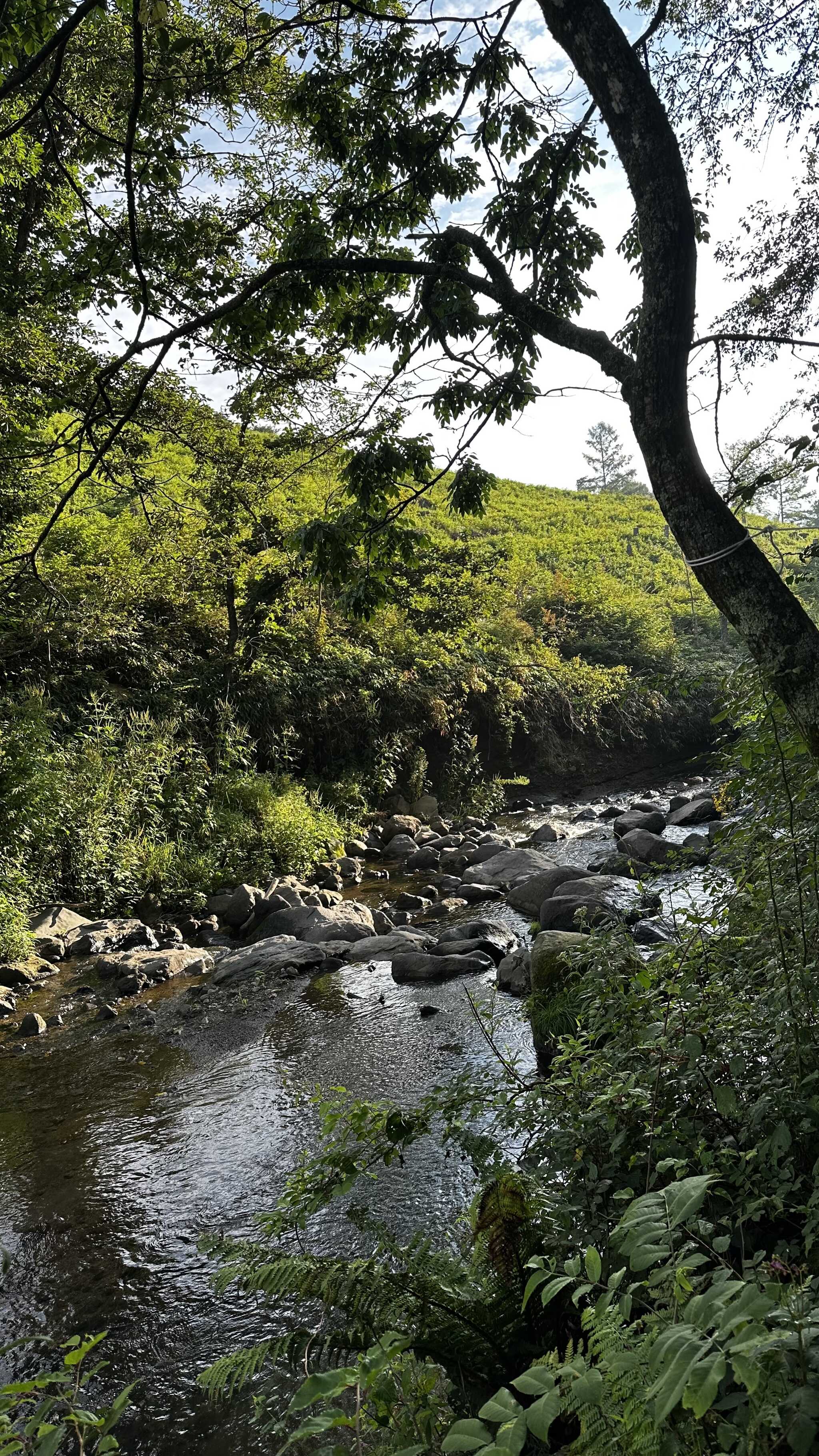 river Bのそば