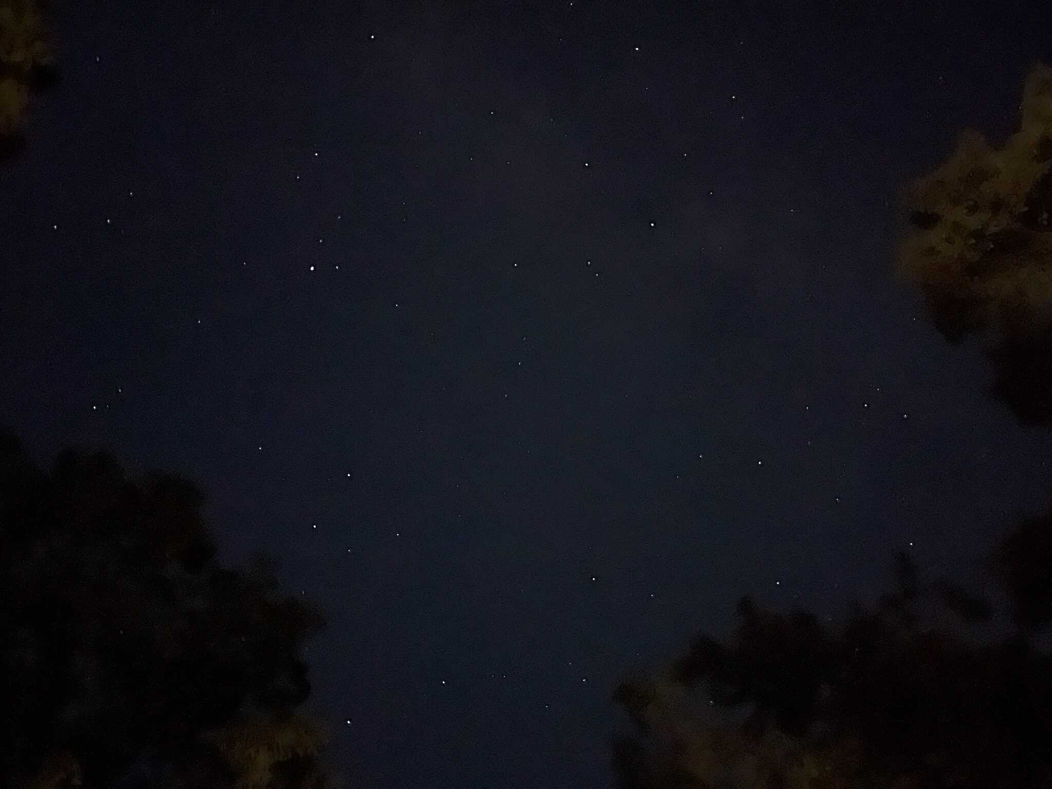 どんぐりの森サイトからの夜空