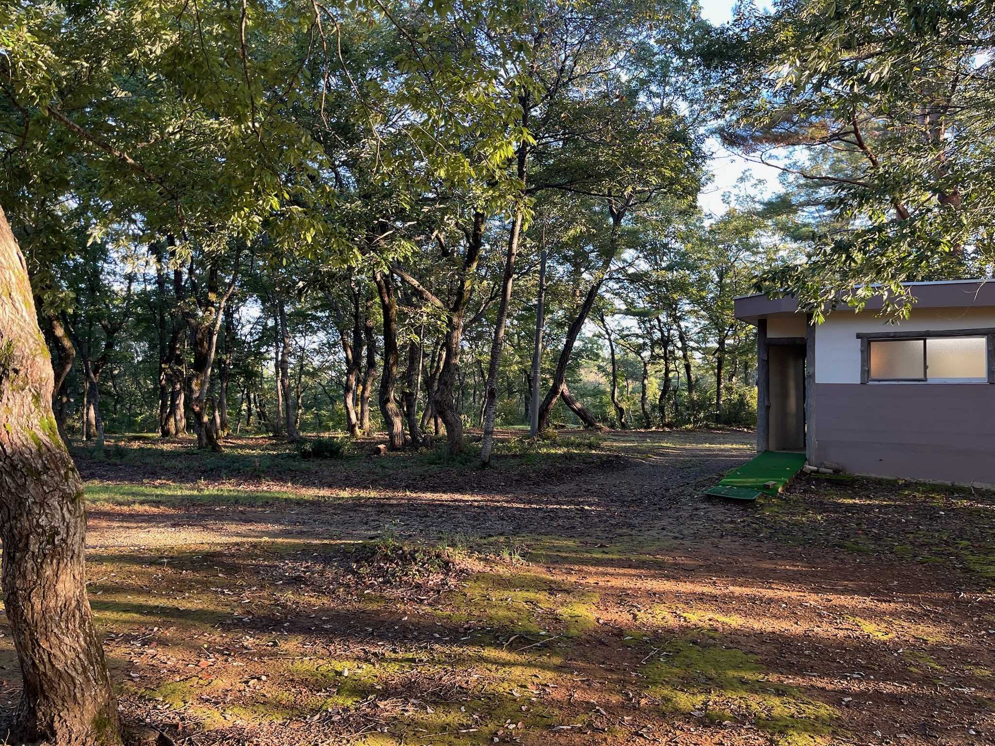 どんぐりの森サイト内の風景