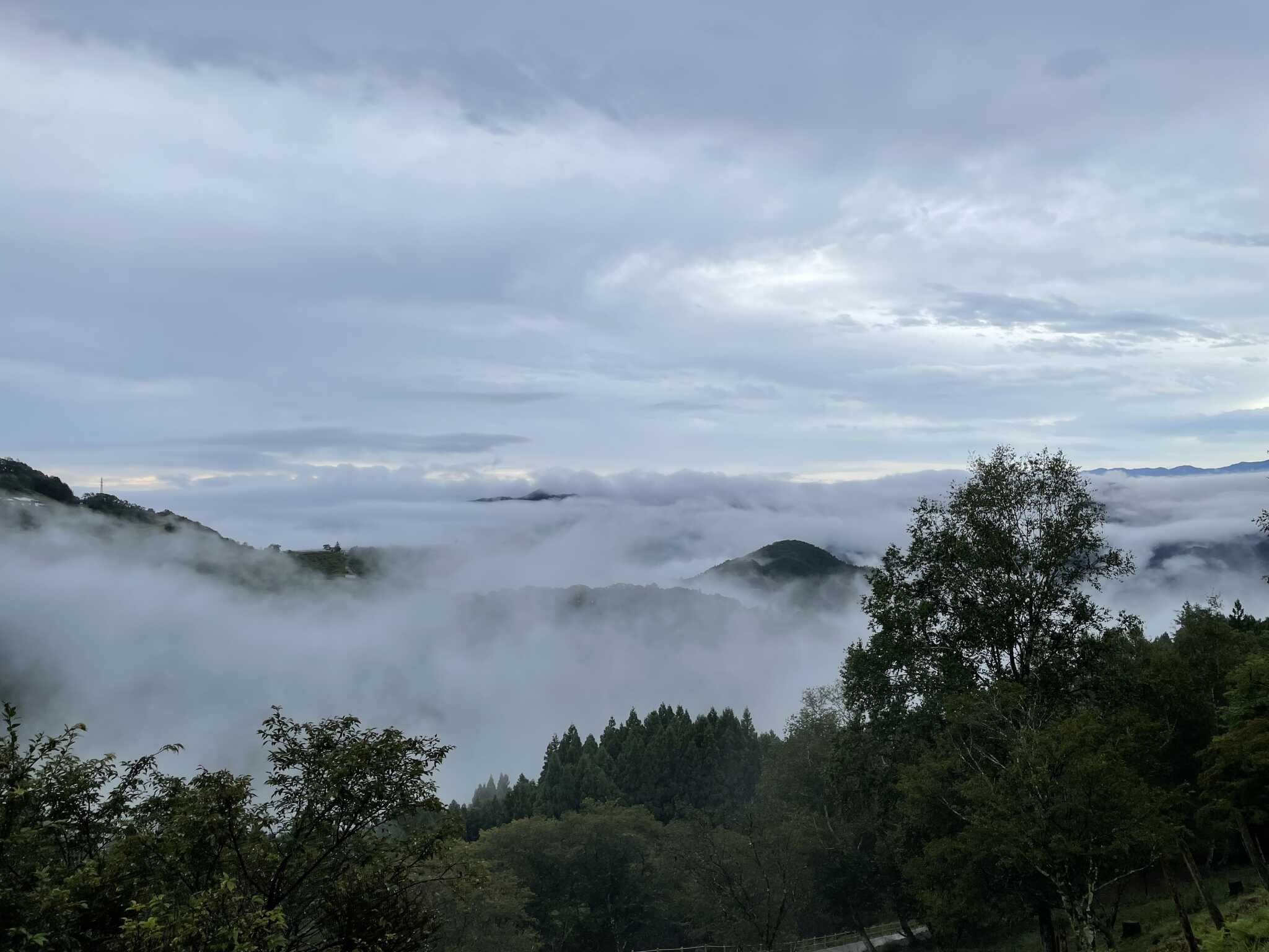 雲海
