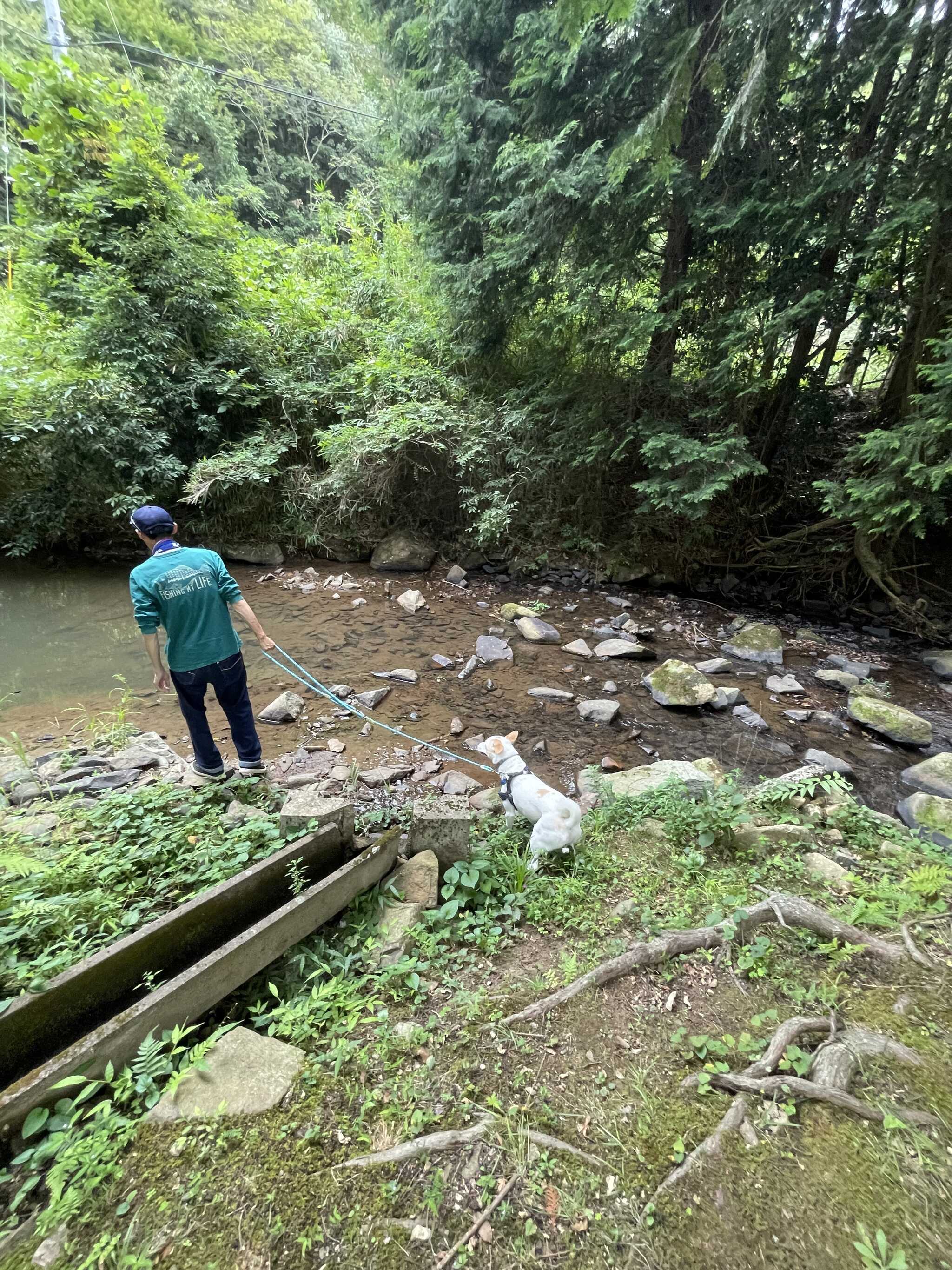隣の川