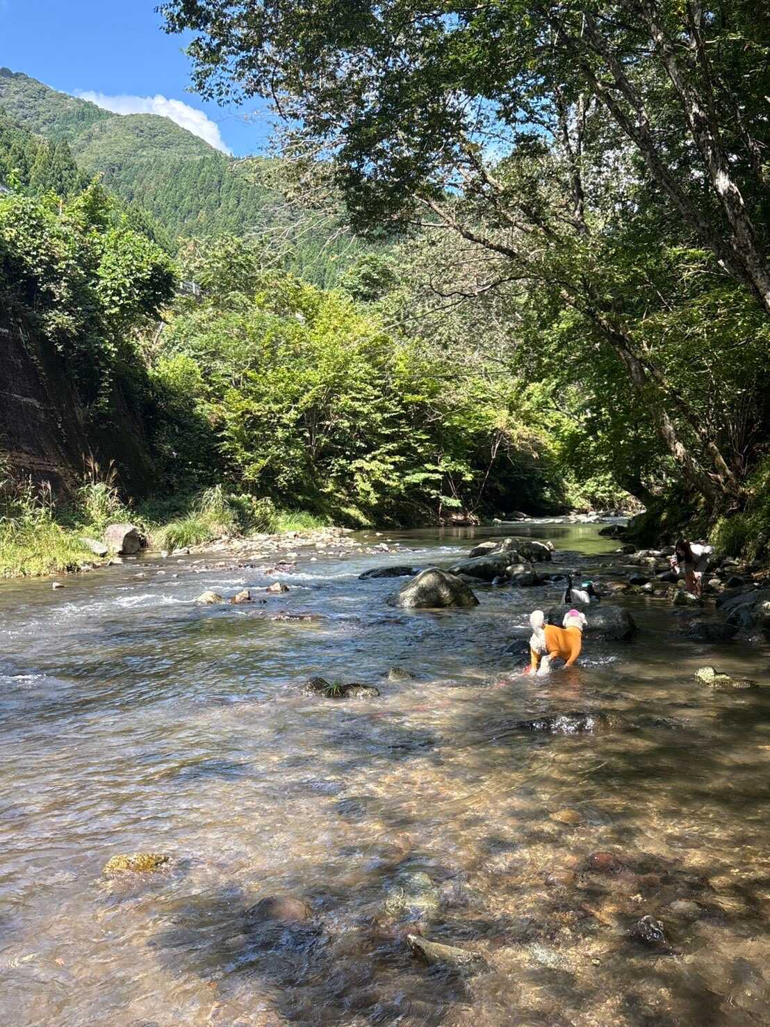 川遊びを満喫