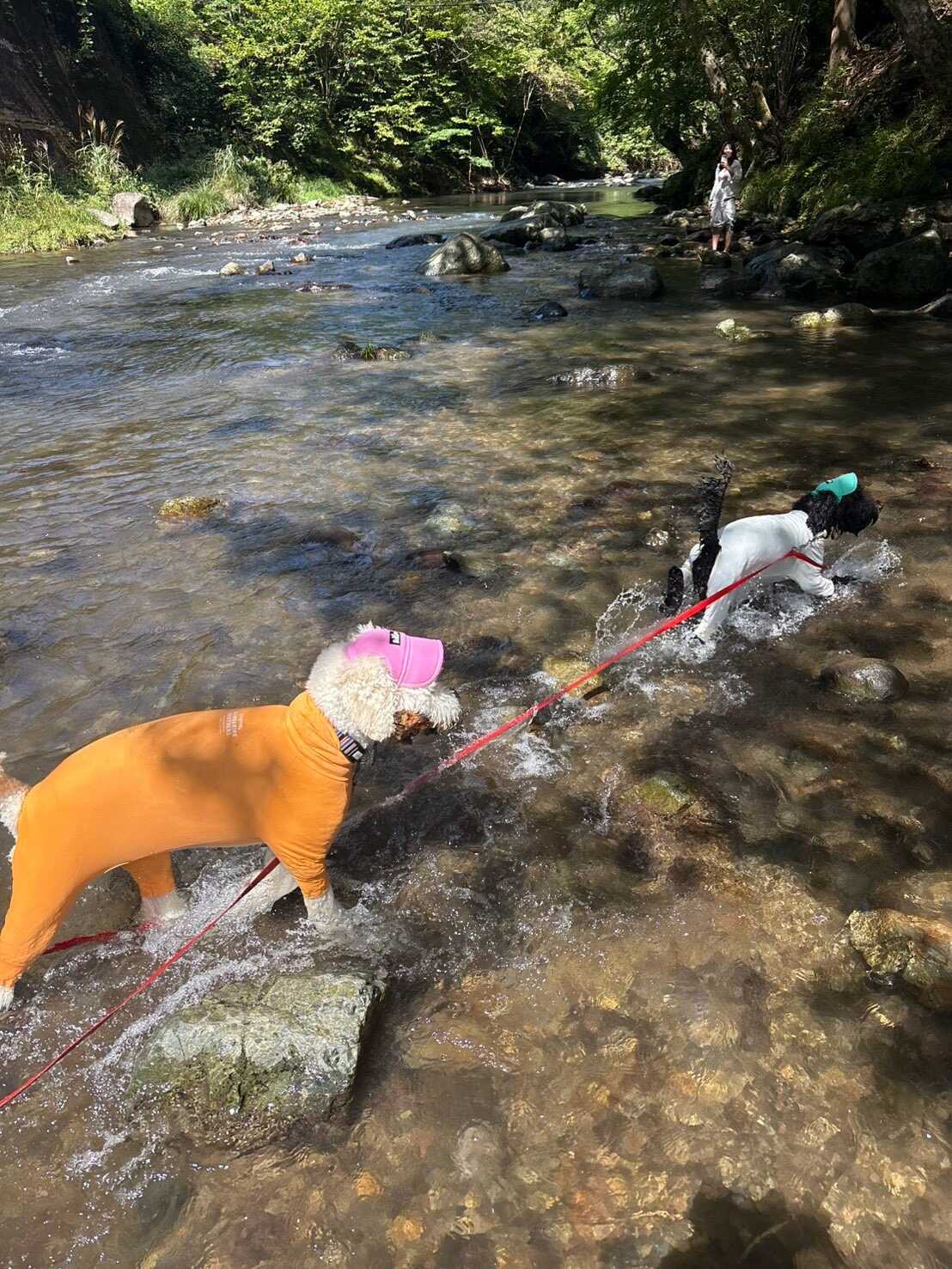 冷たくて気持ちいい