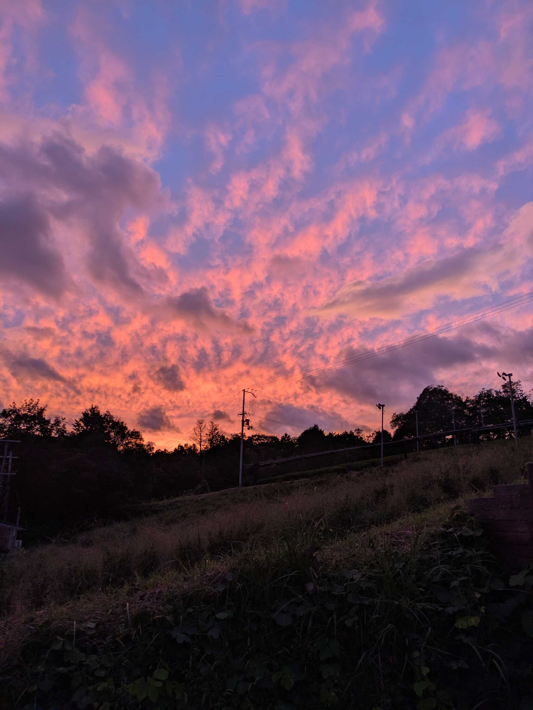 夕焼け