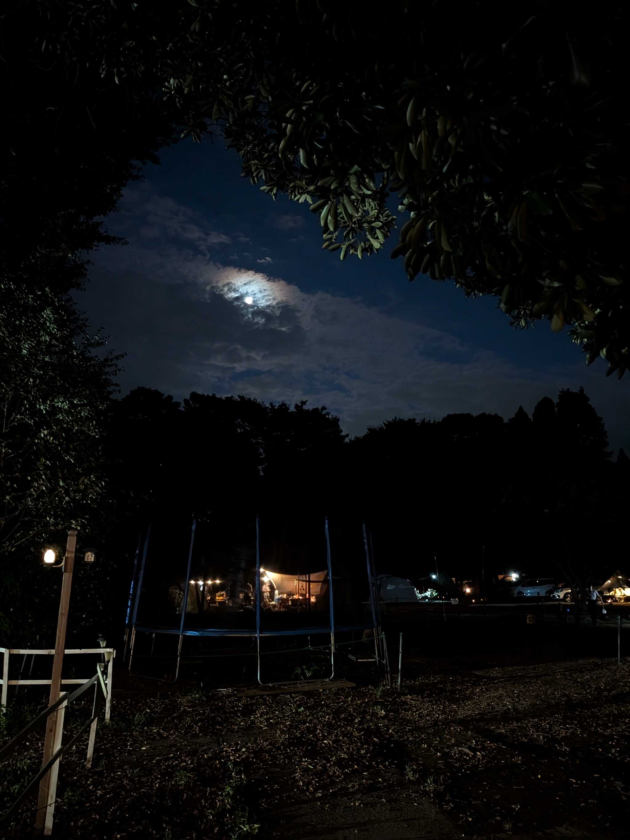夜、管理棟からサイトを見た様子