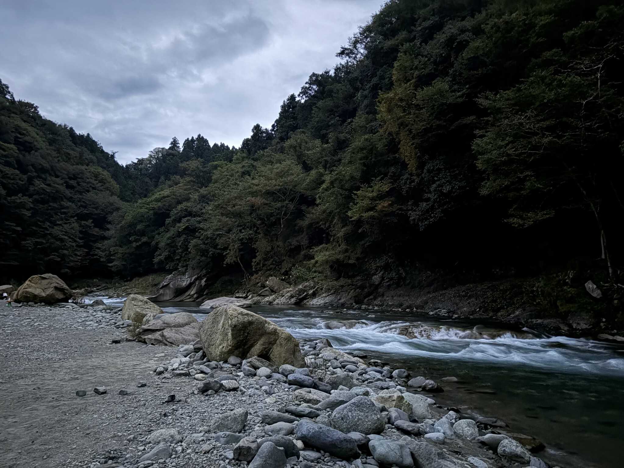 朝