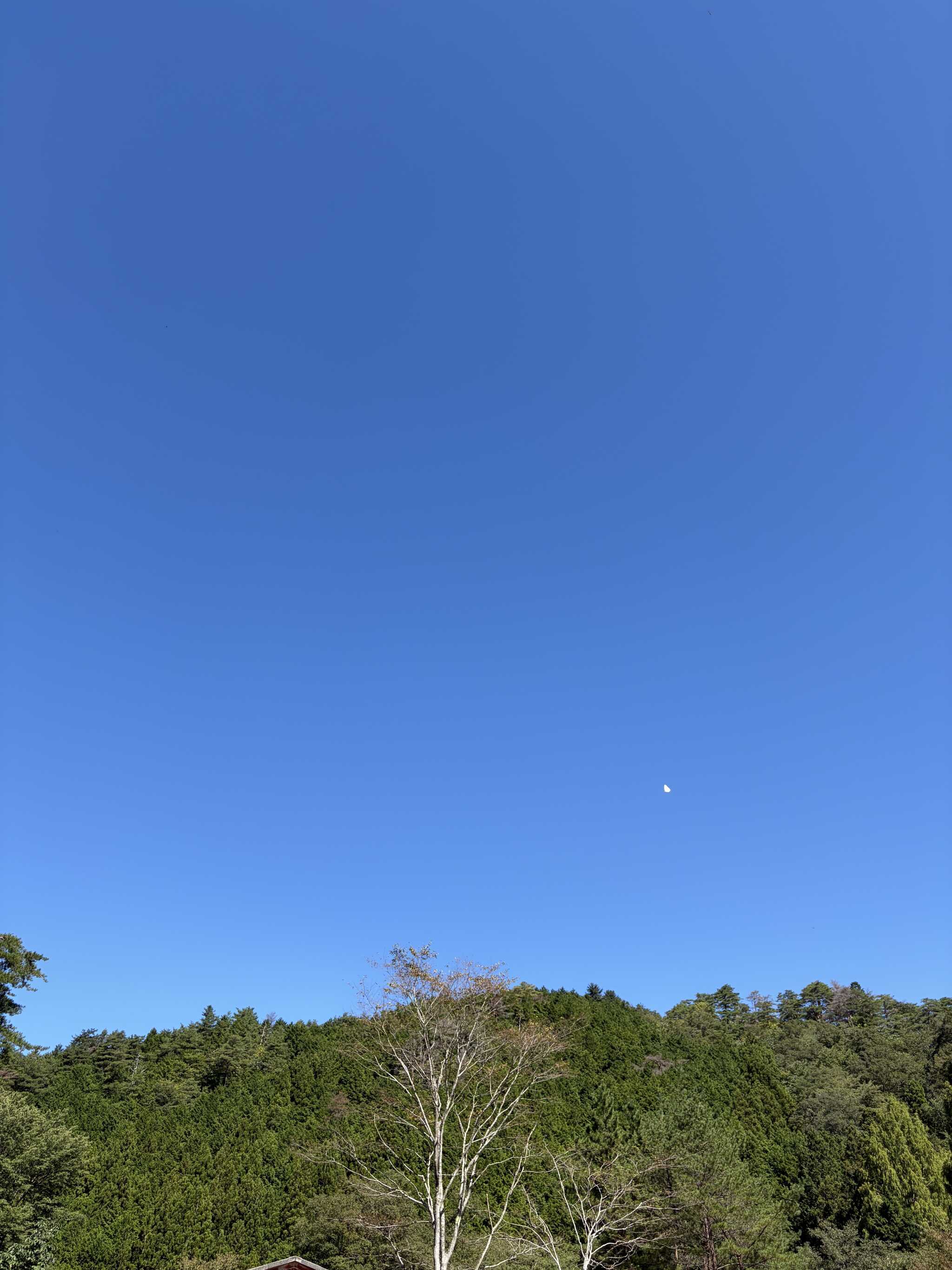 チェックアウトの日の空