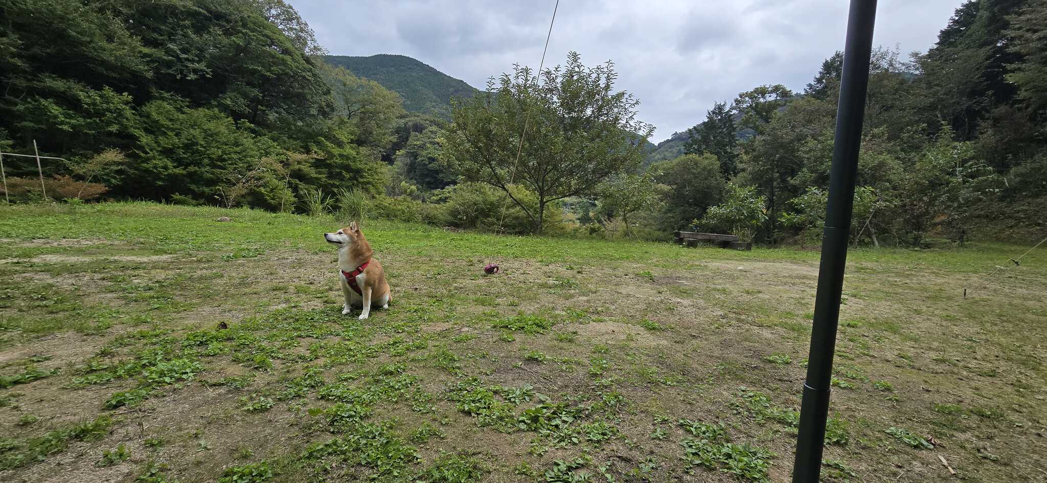 サイトからの眺め
