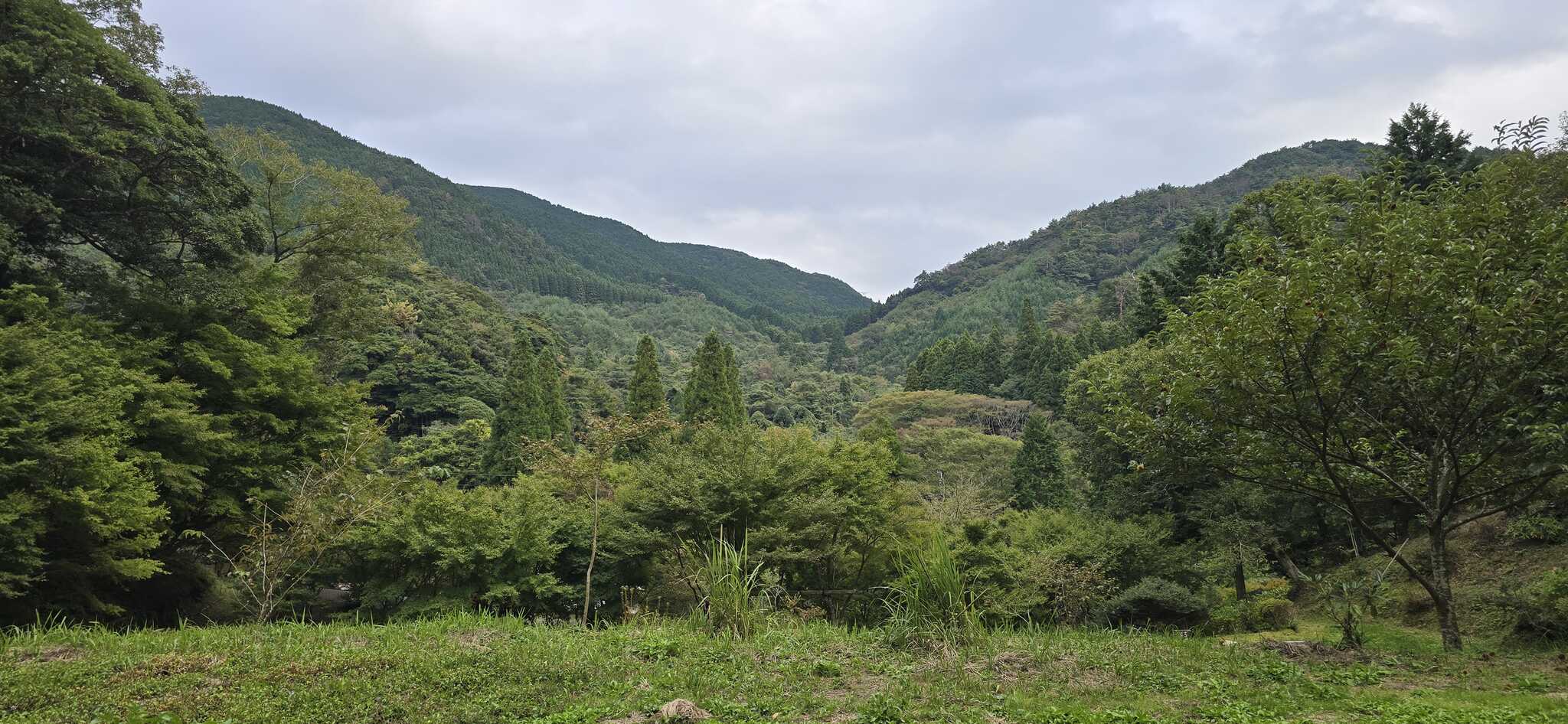 サイトから見える景色