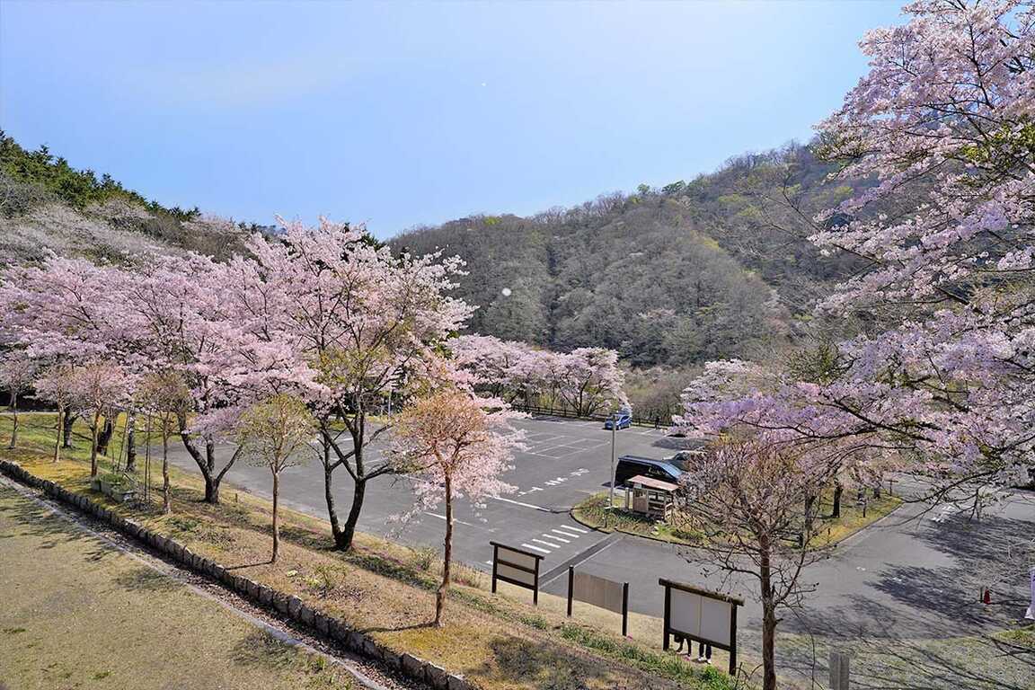 たかはぎキャンピングパーク photo 5